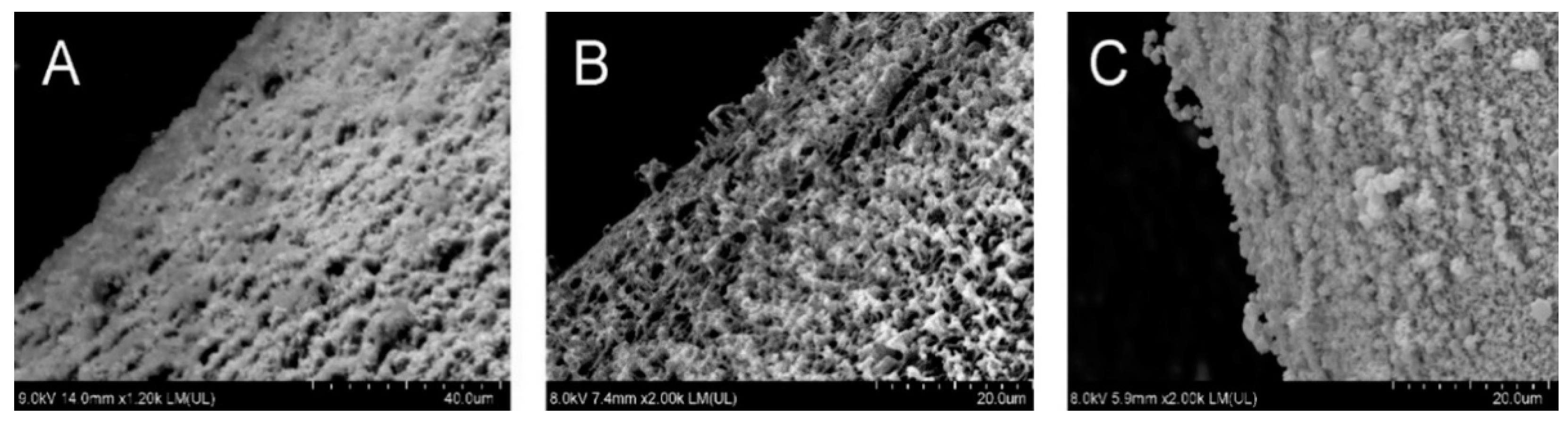 Pharmaceutics 14 00127 g007