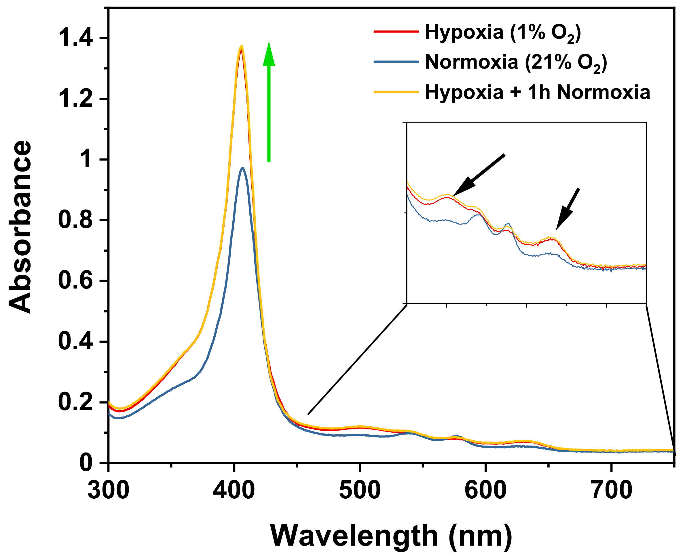 Pharmaceutics 14 00128 g002