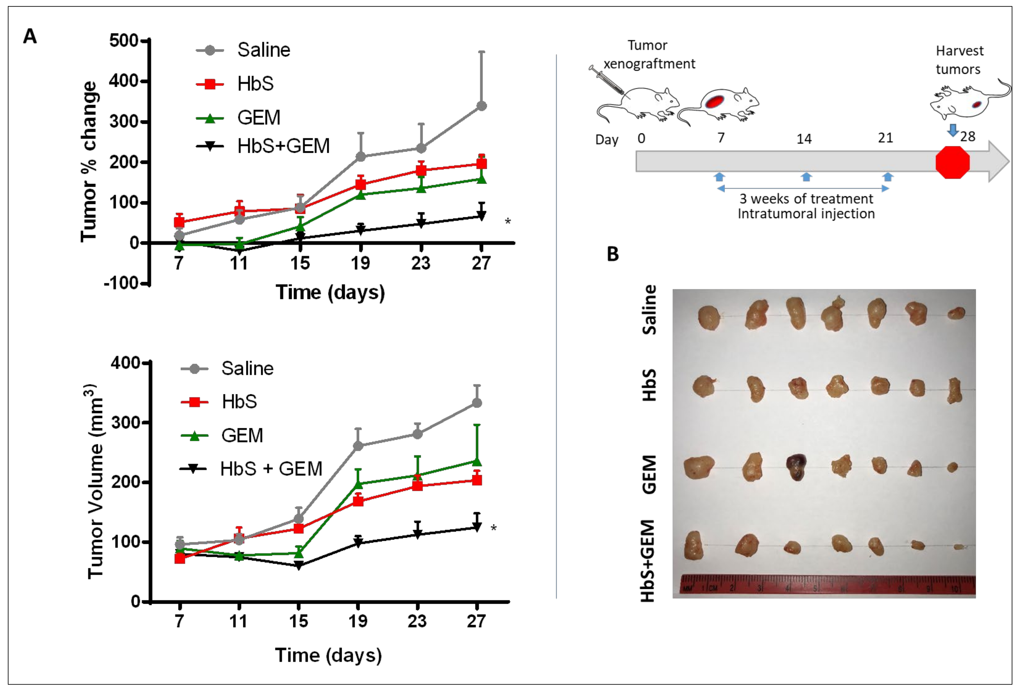 Pharmaceutics 14 00128 g004