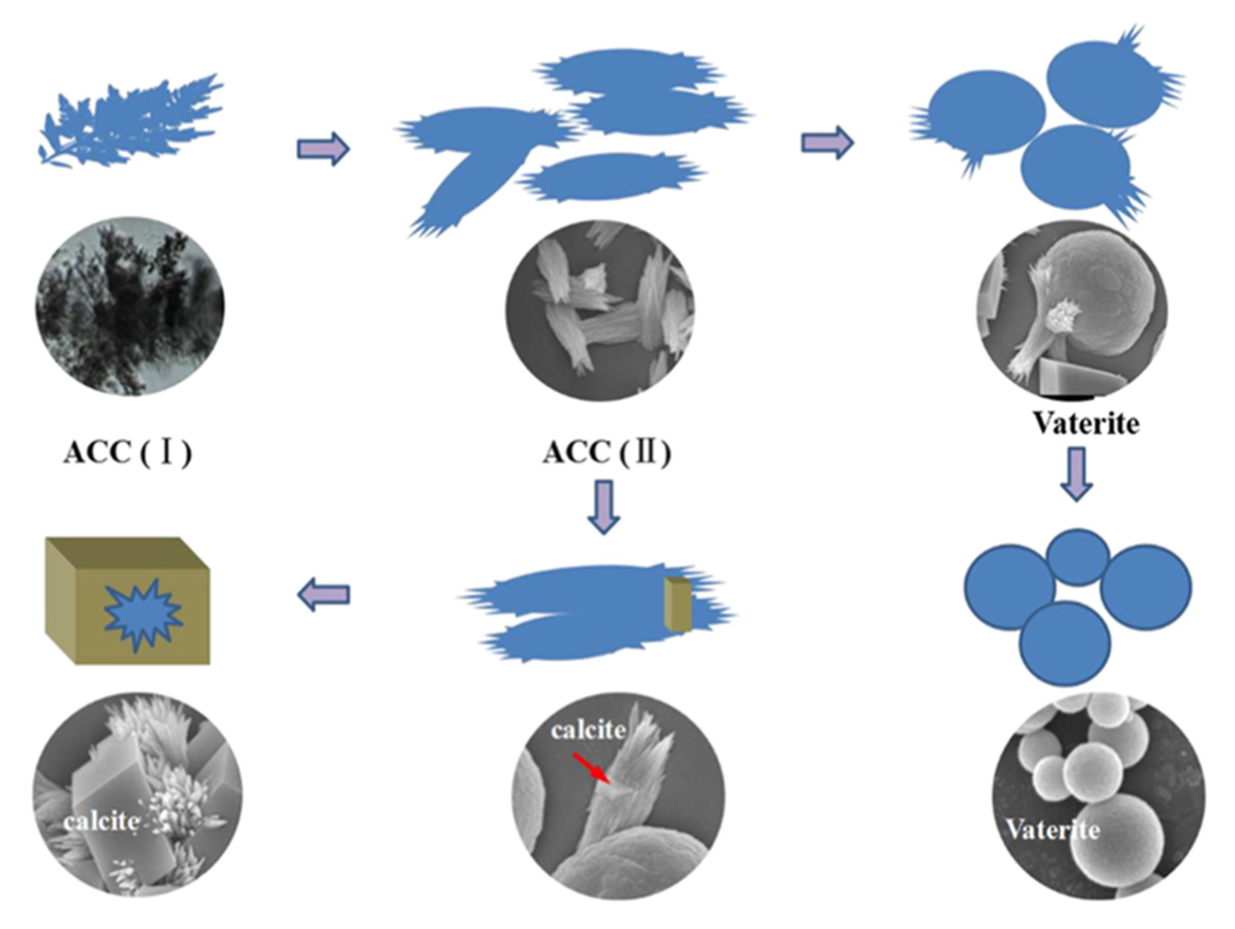 Pharmaceutics 14 00139 g003 Pharmaceutics 14 00139 g003