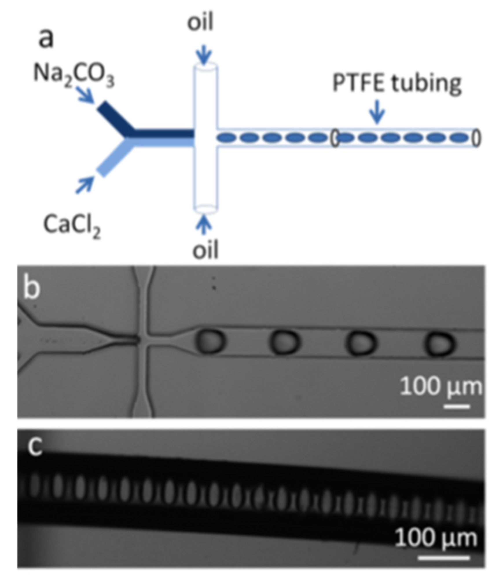 Pharmaceutics 14 00139 g005 Pharmaceutics 14 00139 g005
