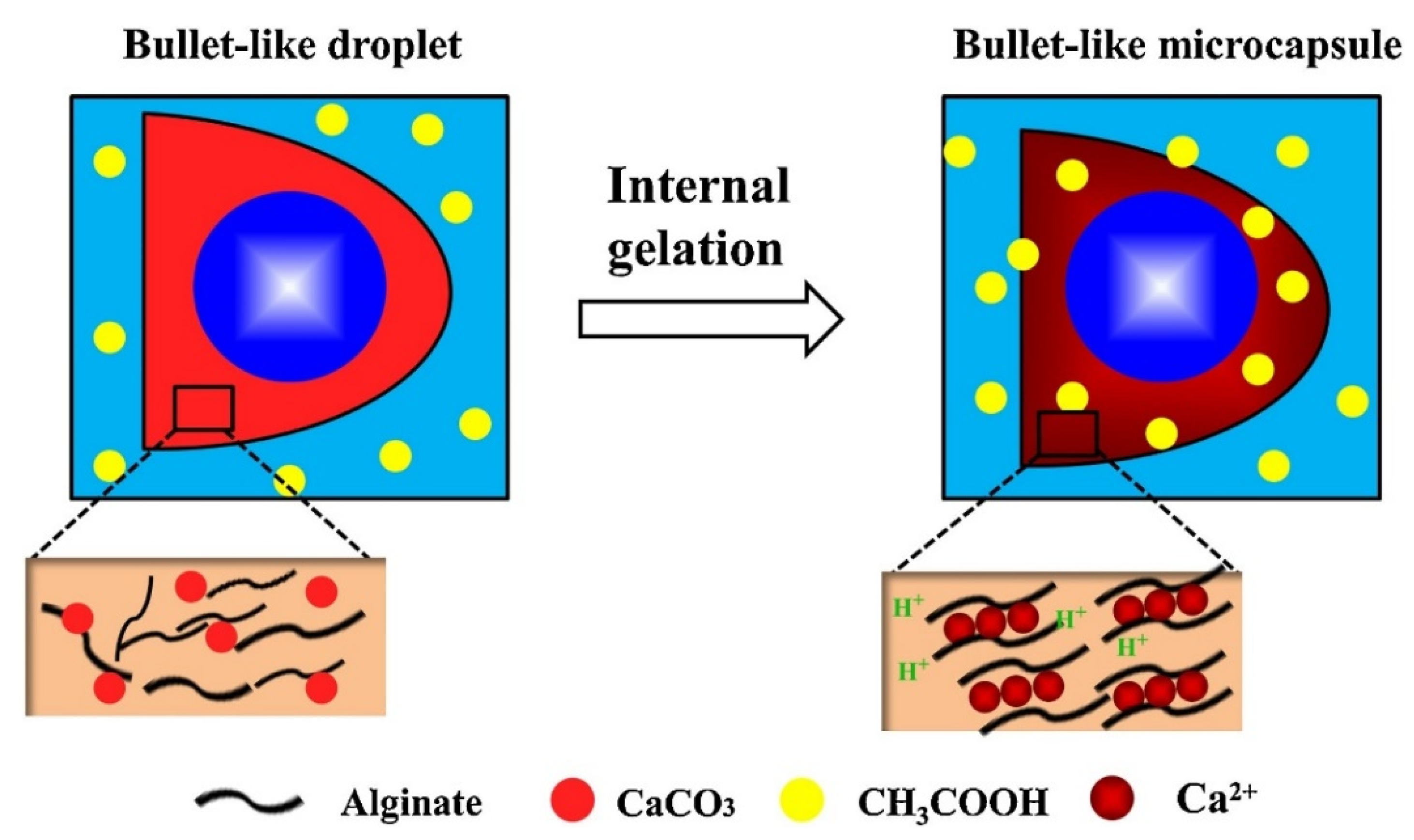 Pharmaceutics 14 00139 g007 Pharmaceutics 14 00139 g007