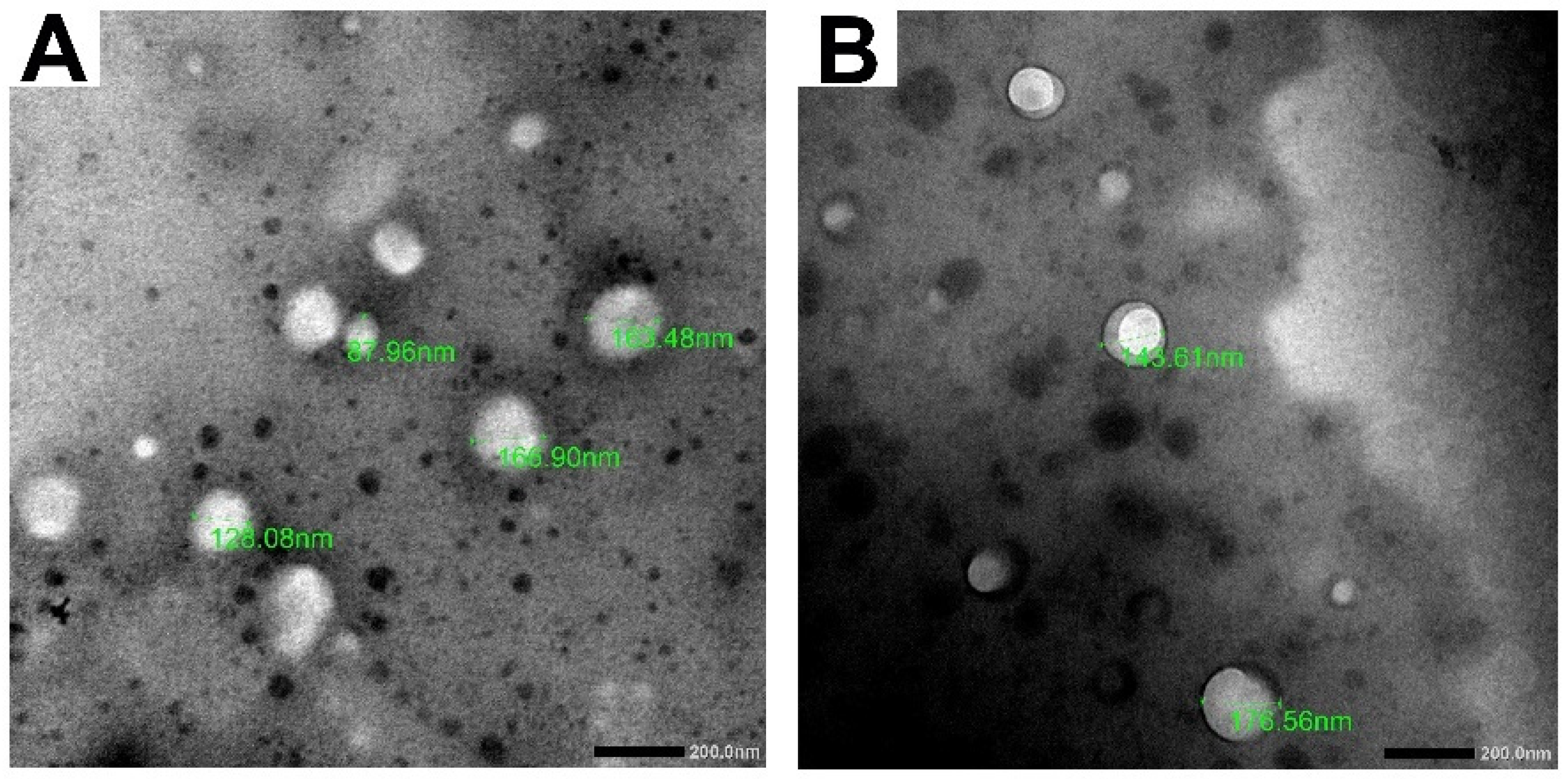 Pharmaceutics 14 00140 g001 Pharmaceutics 14 00140 g001