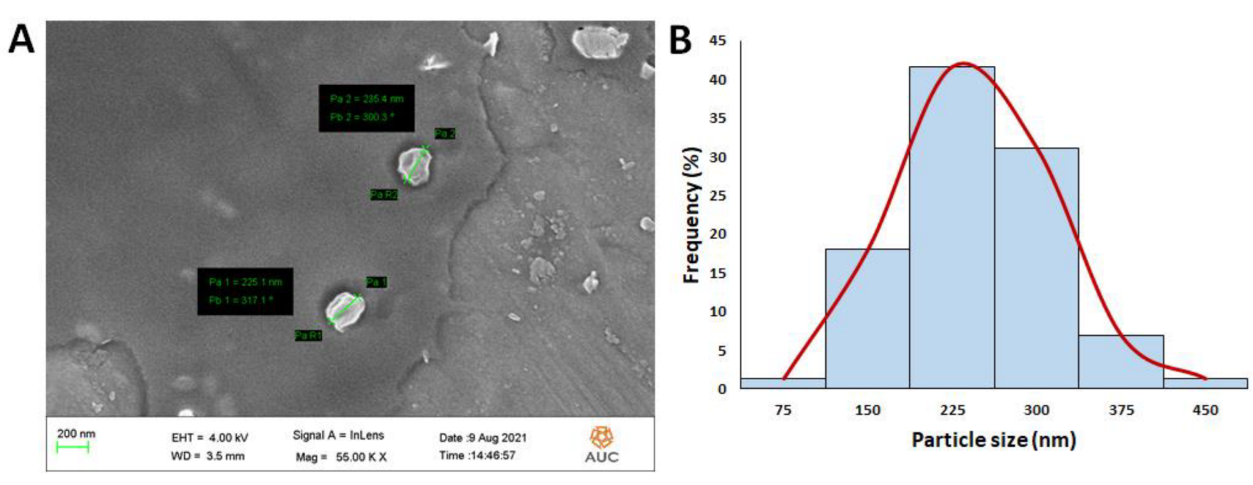 Pharmaceutics 14 00142 g003