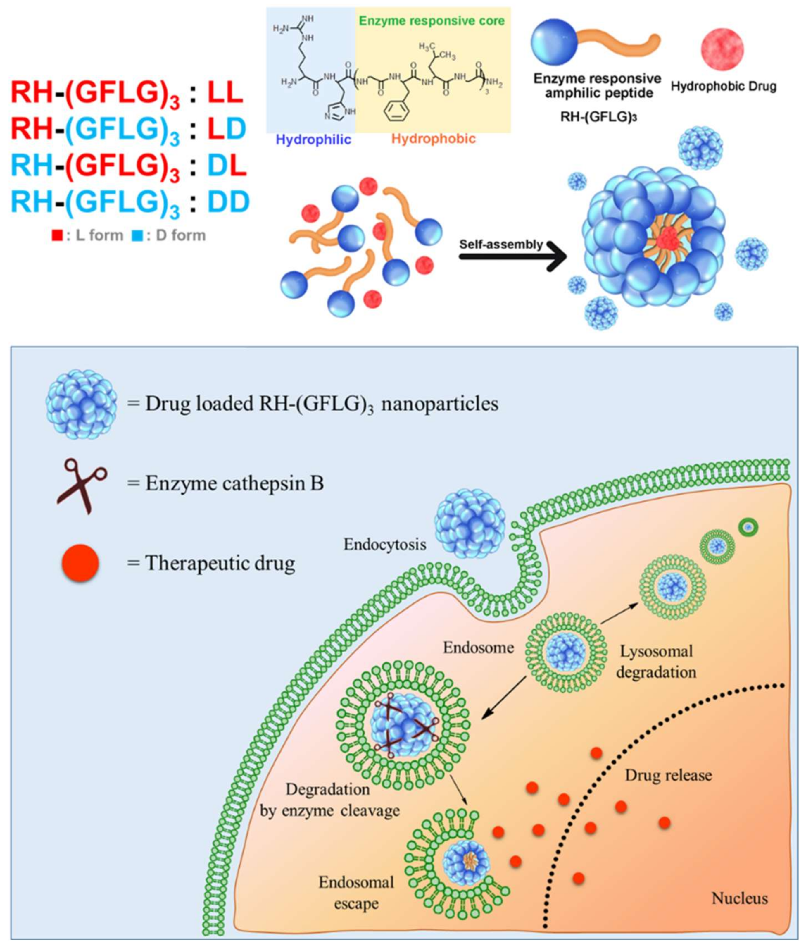 Pharmaceutics 14 00143 g001 Pharmaceutics 14 00143 g001