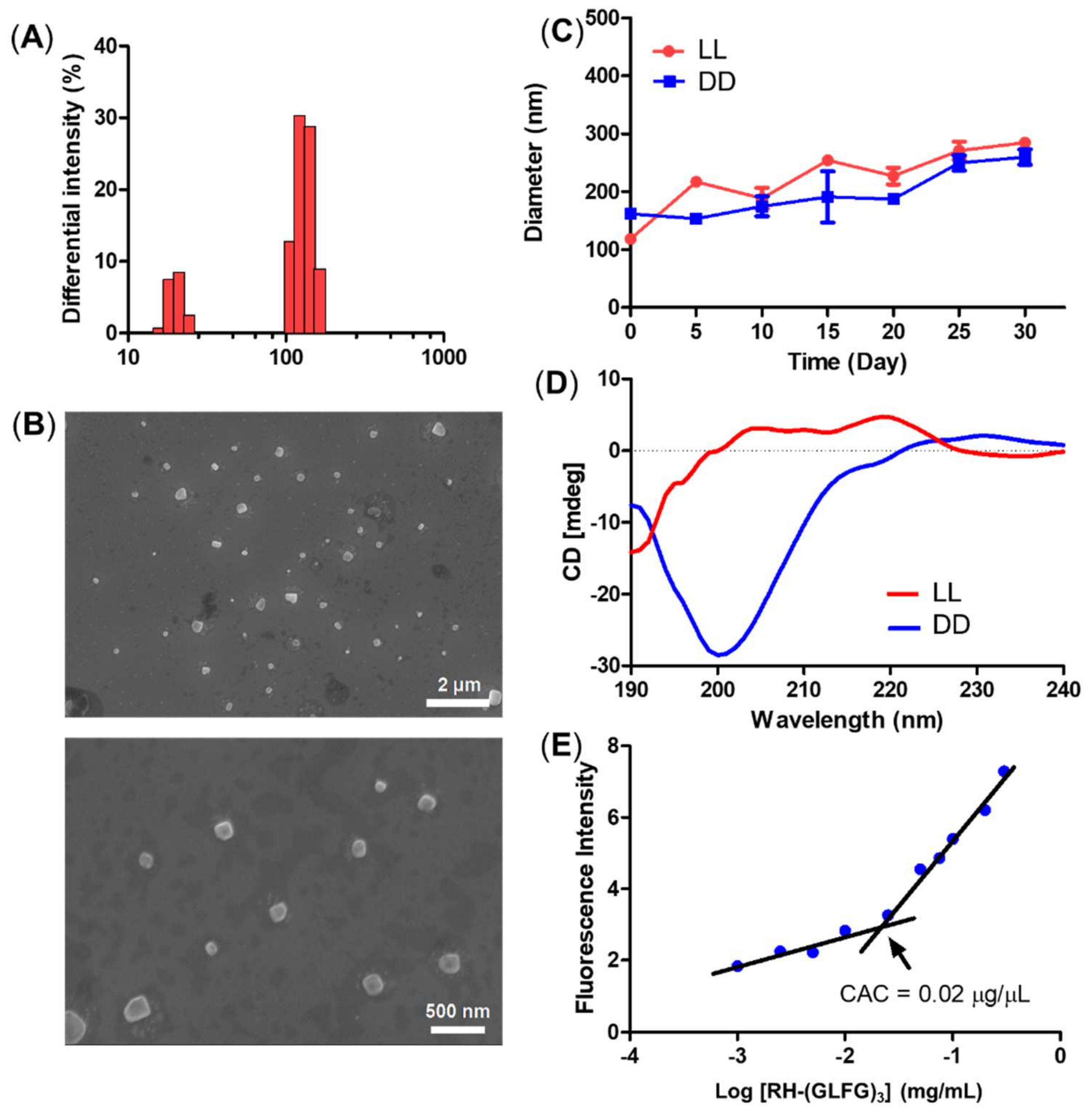 Pharmaceutics 14 00143 g002 Pharmaceutics 14 00143 g002