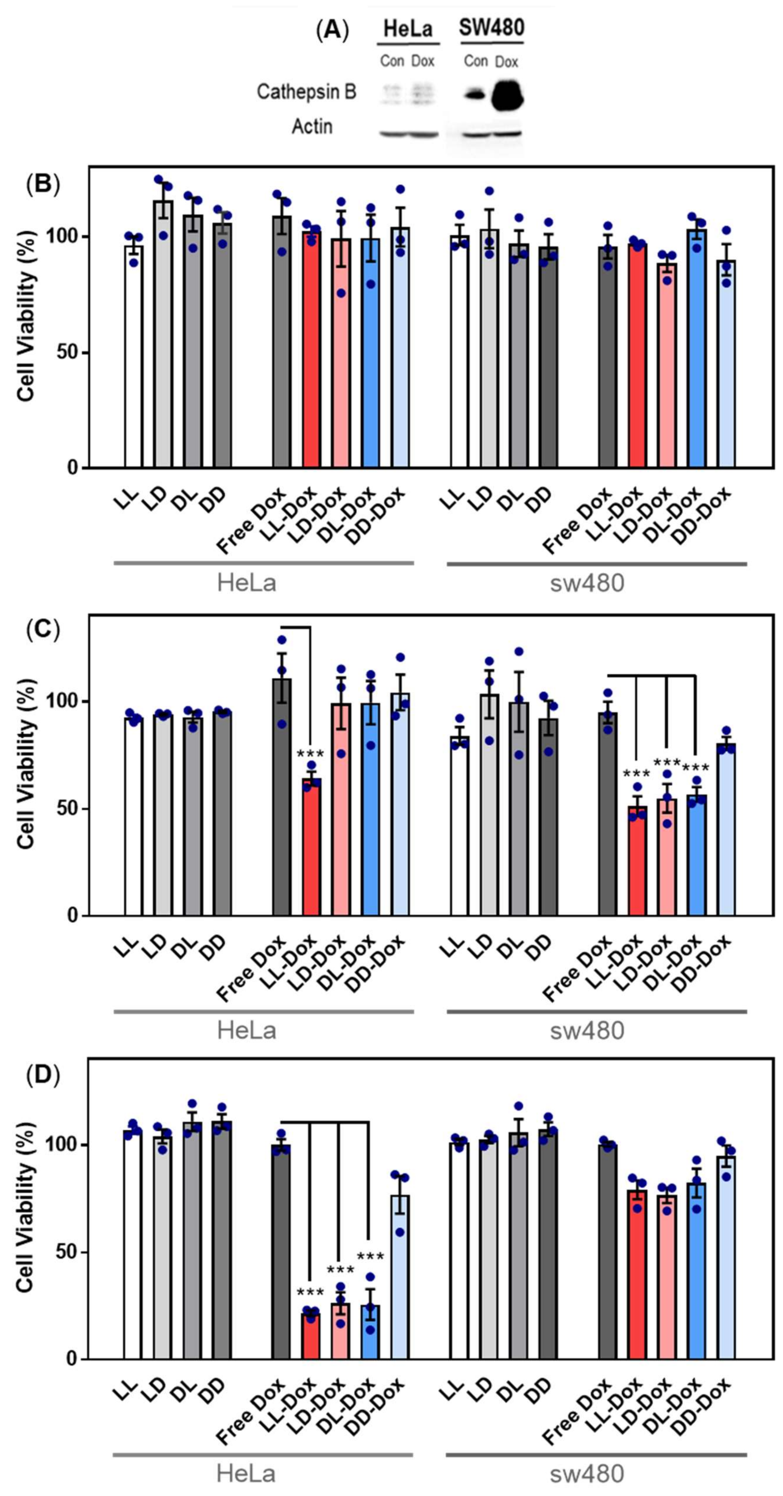 Pharmaceutics 14 00143 g008 Pharmaceutics 14 00143 g008