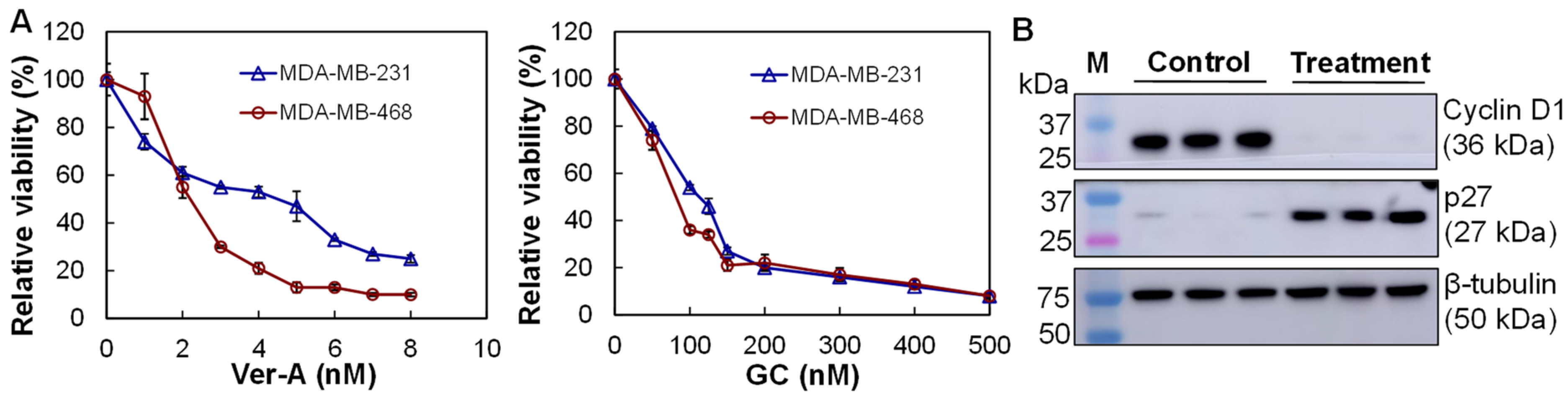 Pharmaceutics 14 00146 g004