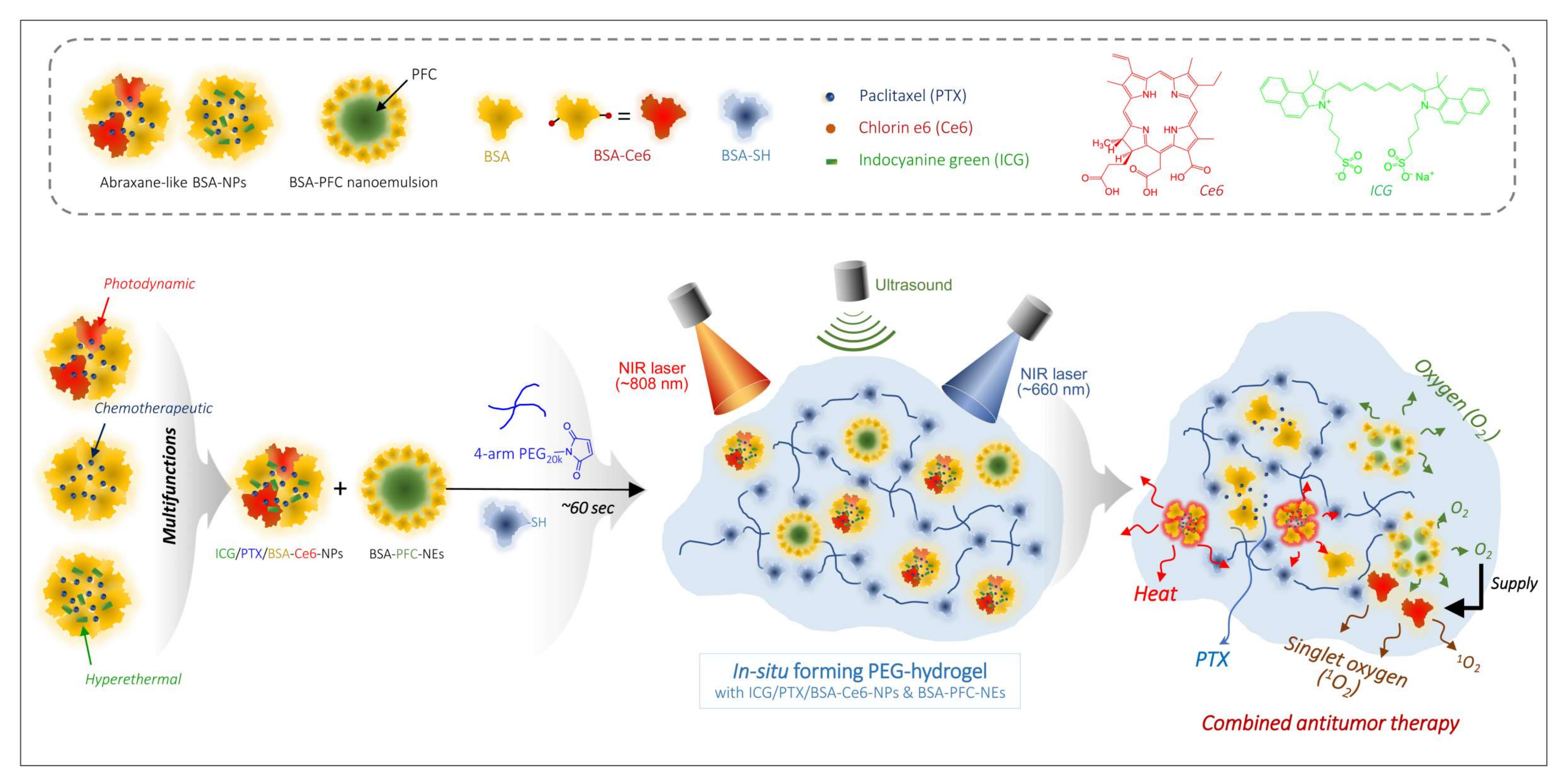 Pharmaceutics 14 00148 g001