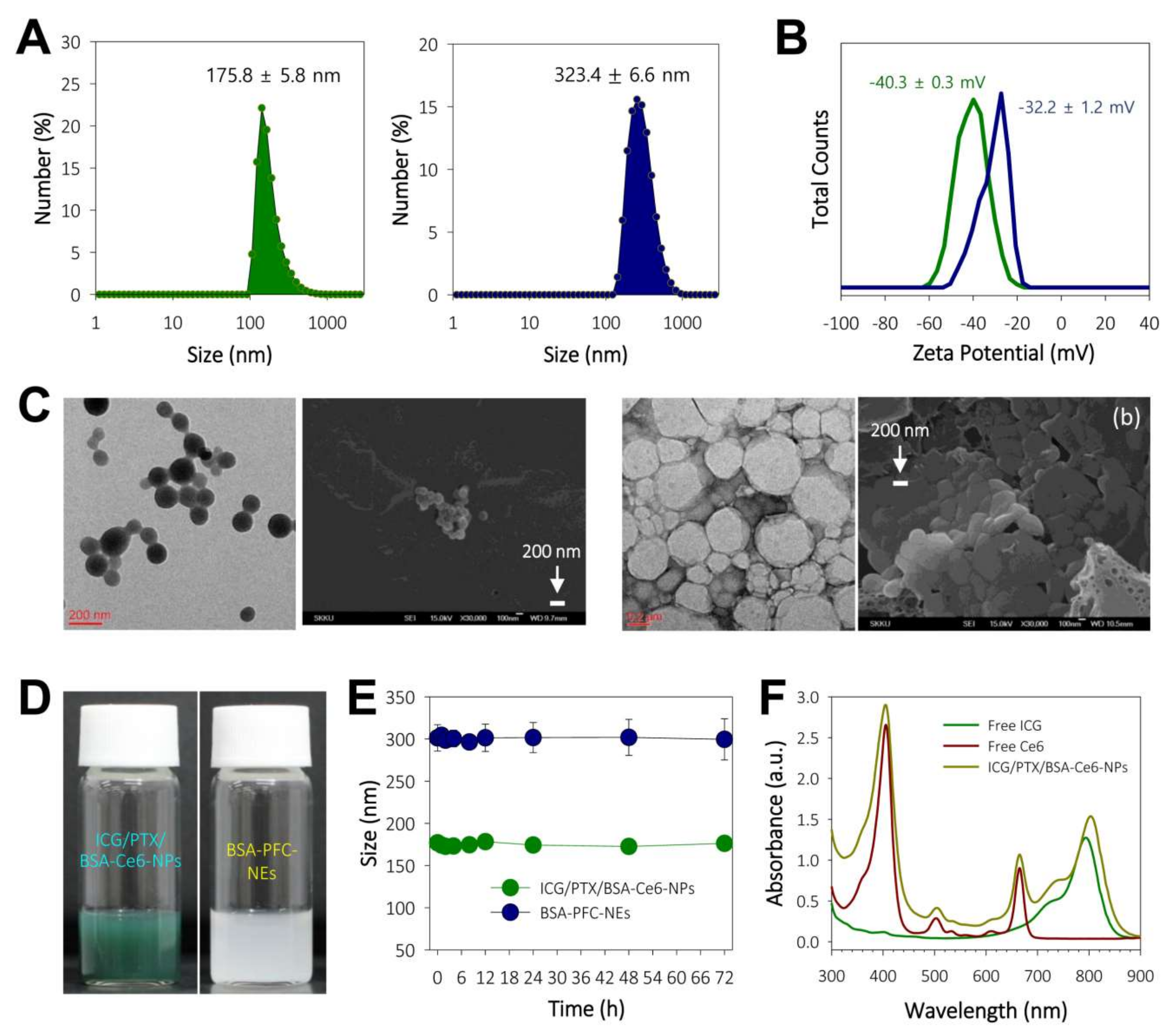 Pharmaceutics 14 00148 g002