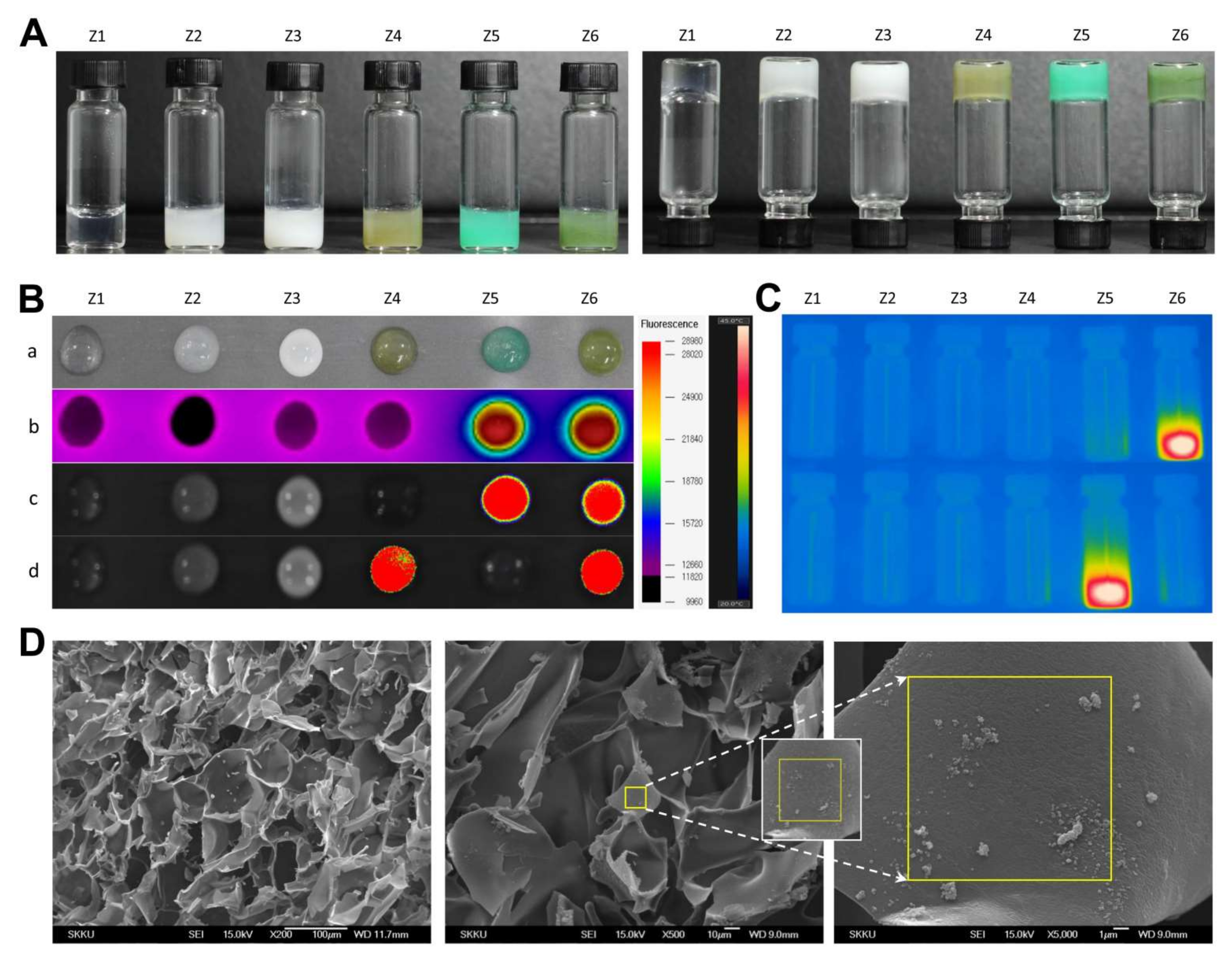 Pharmaceutics 14 00148 g004