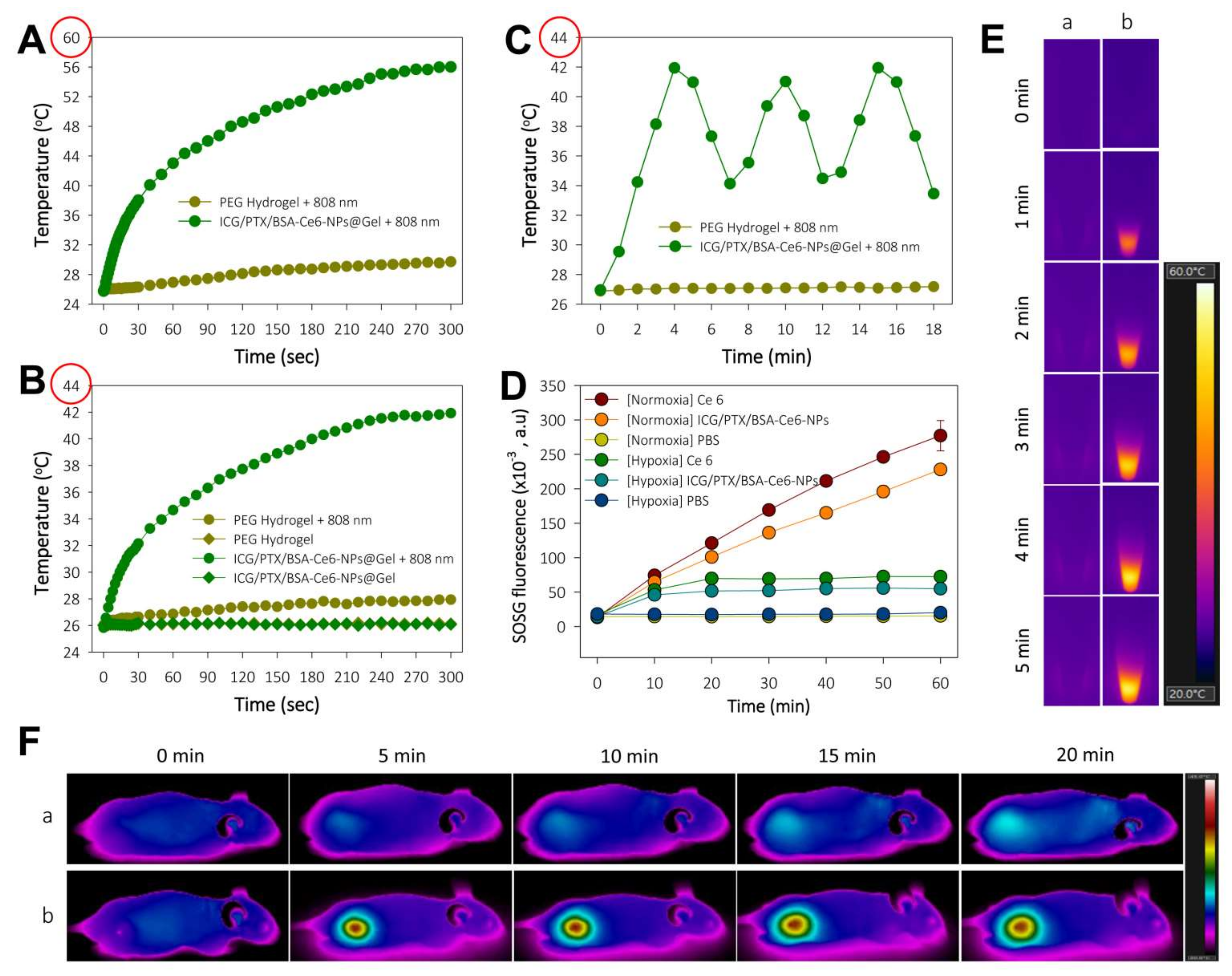 Pharmaceutics 14 00148 g005