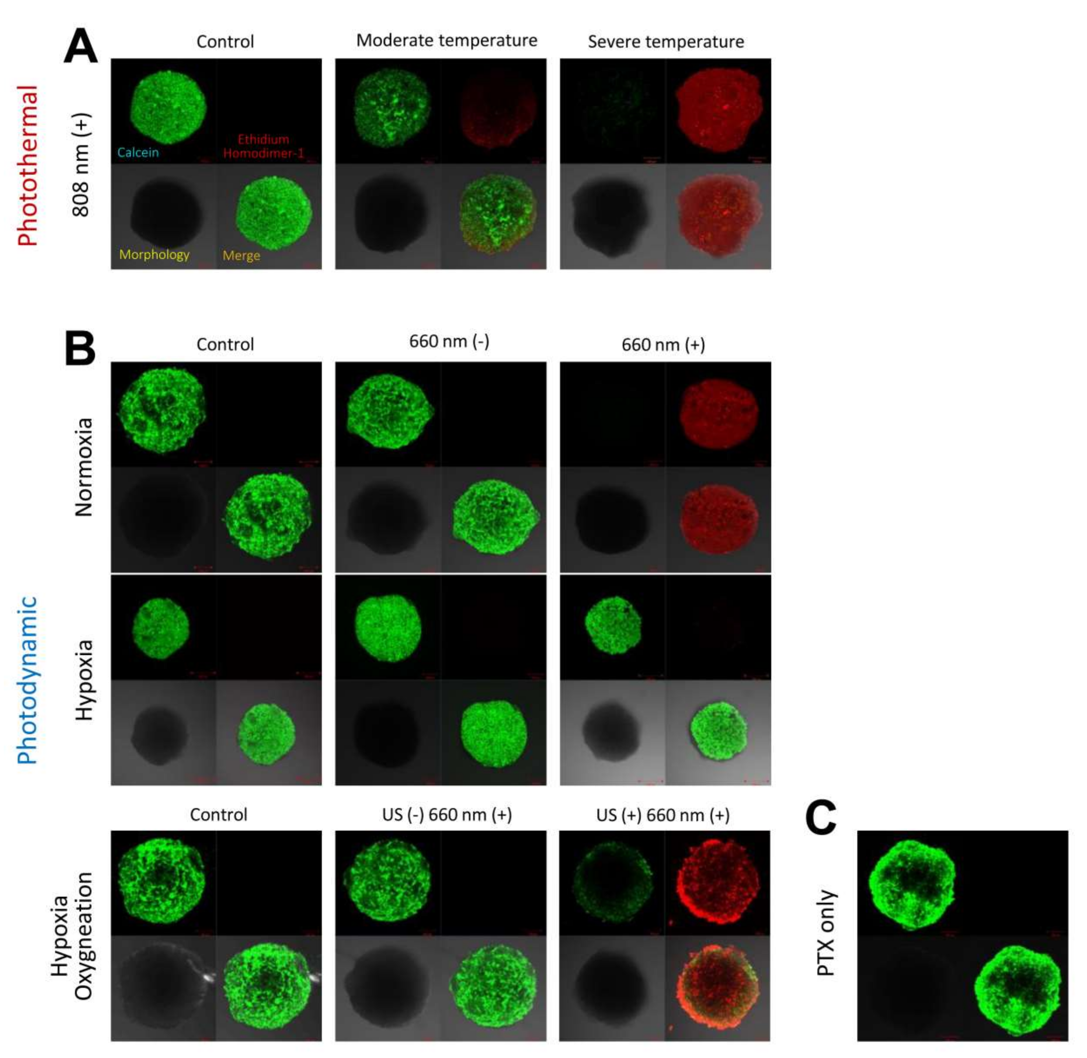 Pharmaceutics 14 00148 g006