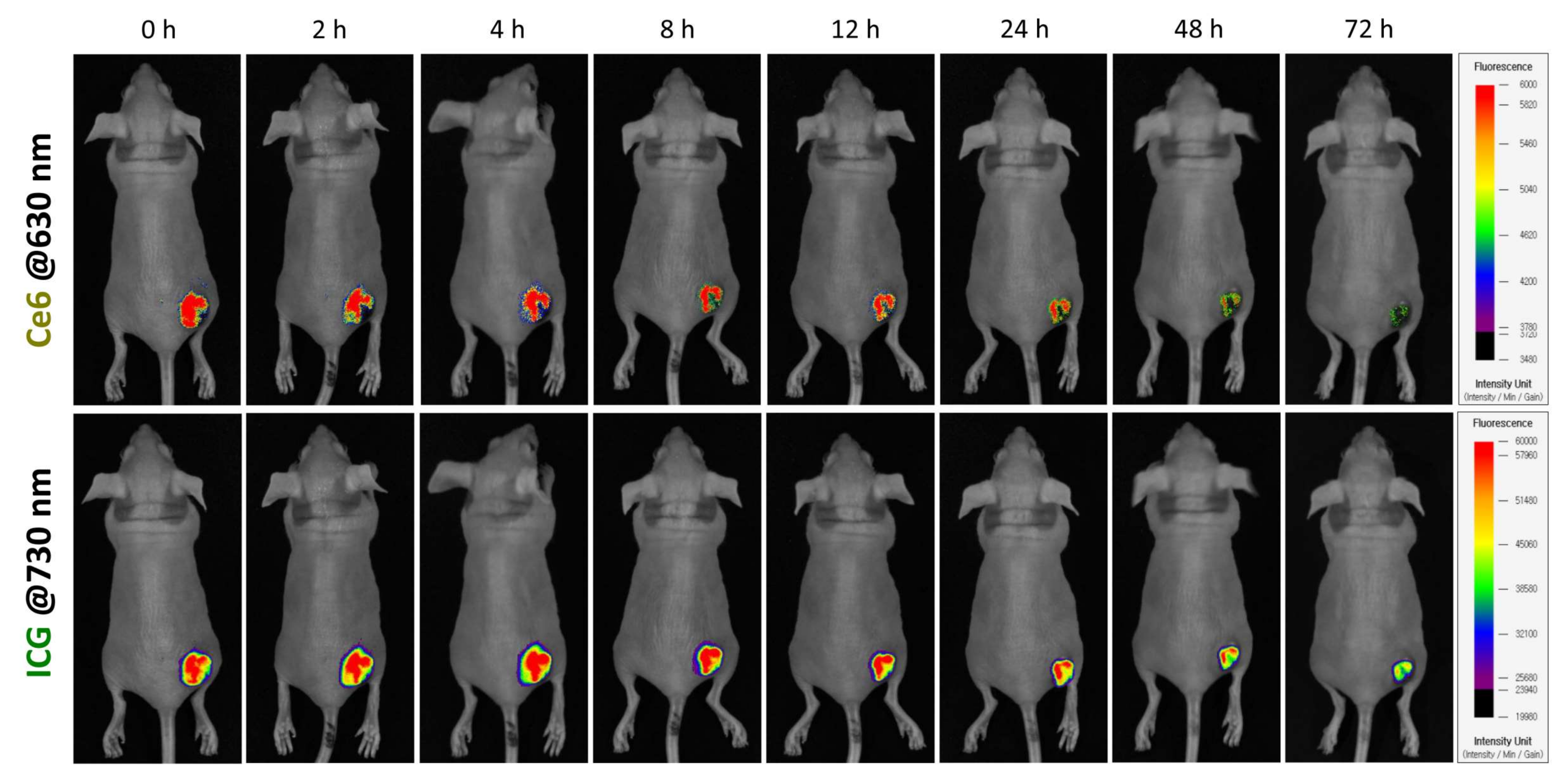 Pharmaceutics 14 00148 g008