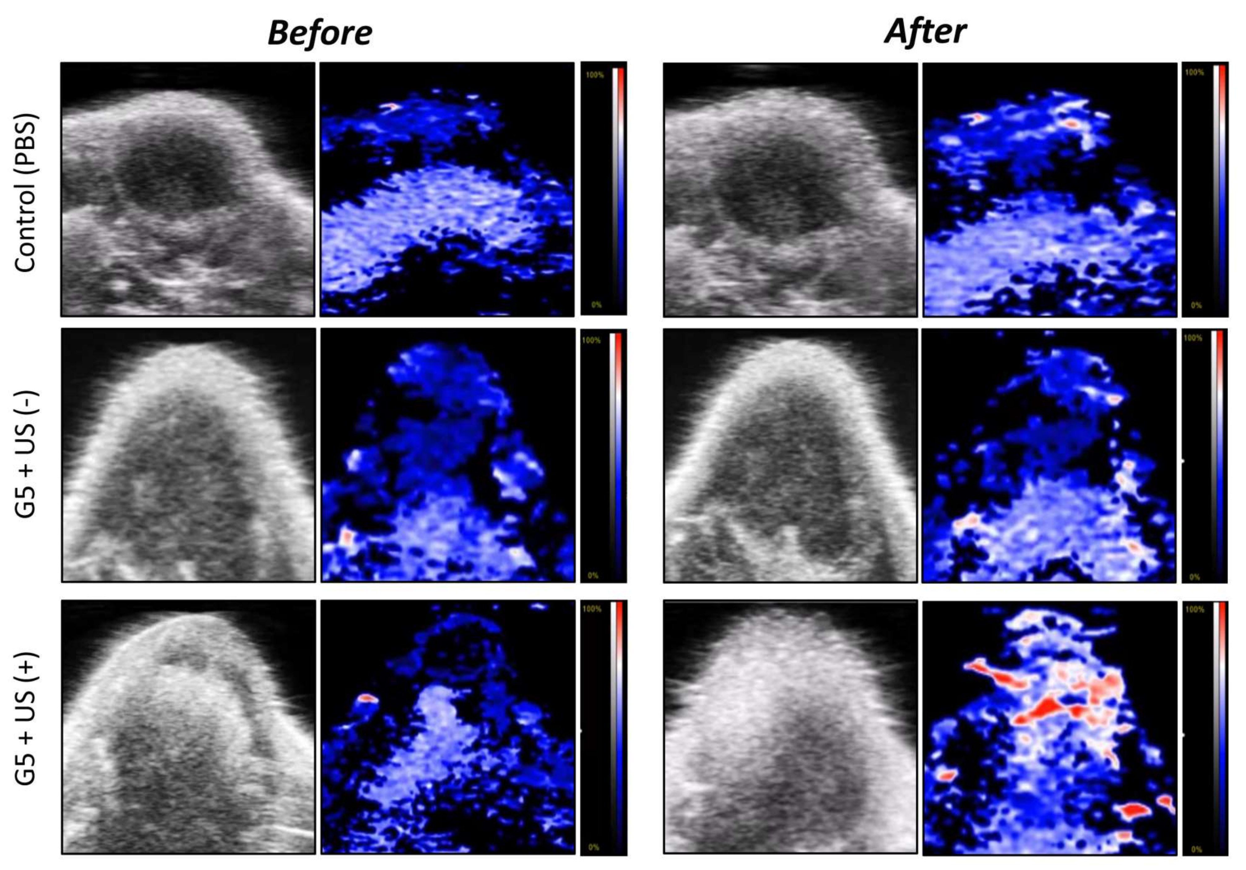 Pharmaceutics 14 00148 g009