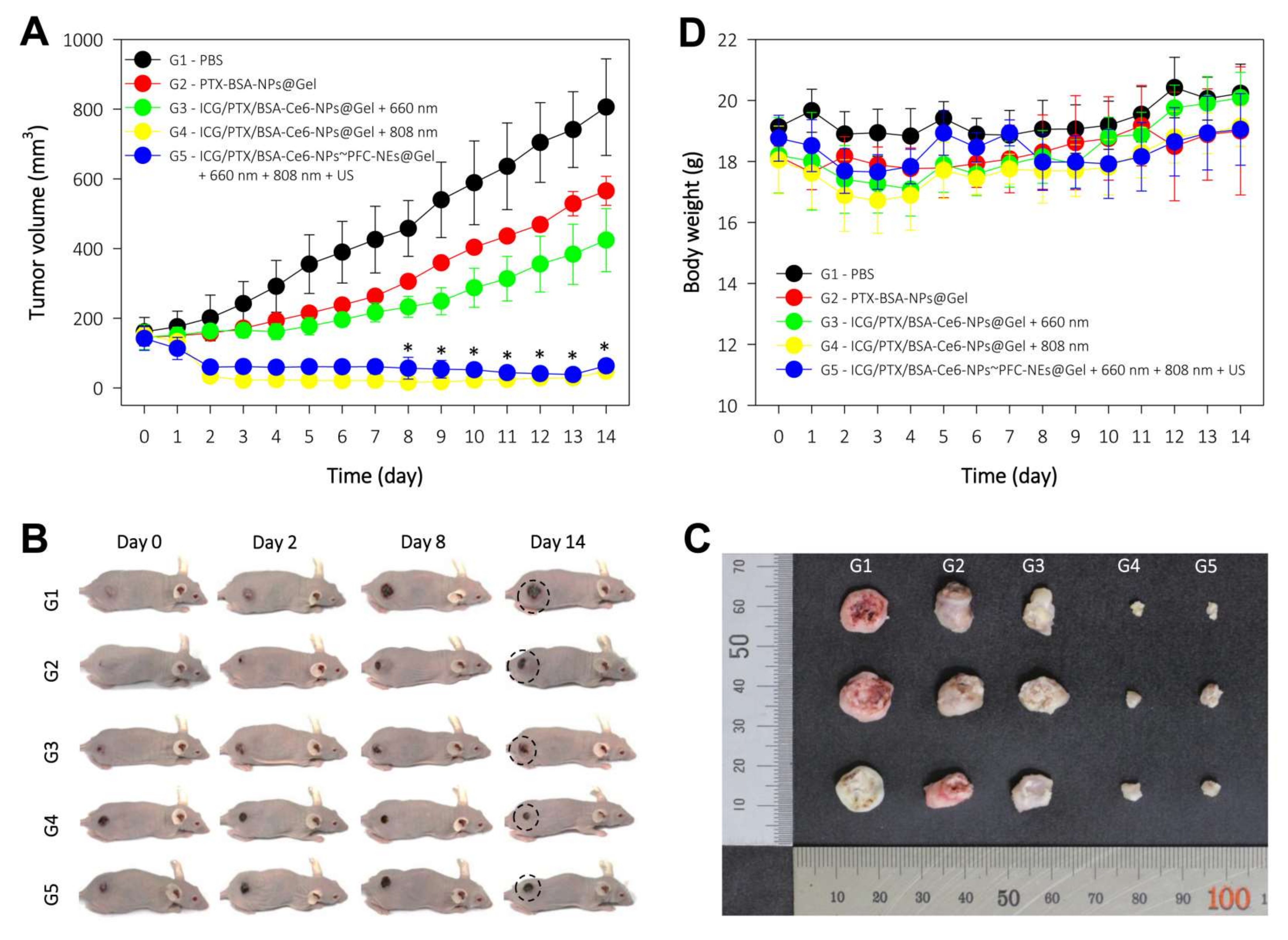 Pharmaceutics 14 00148 g010