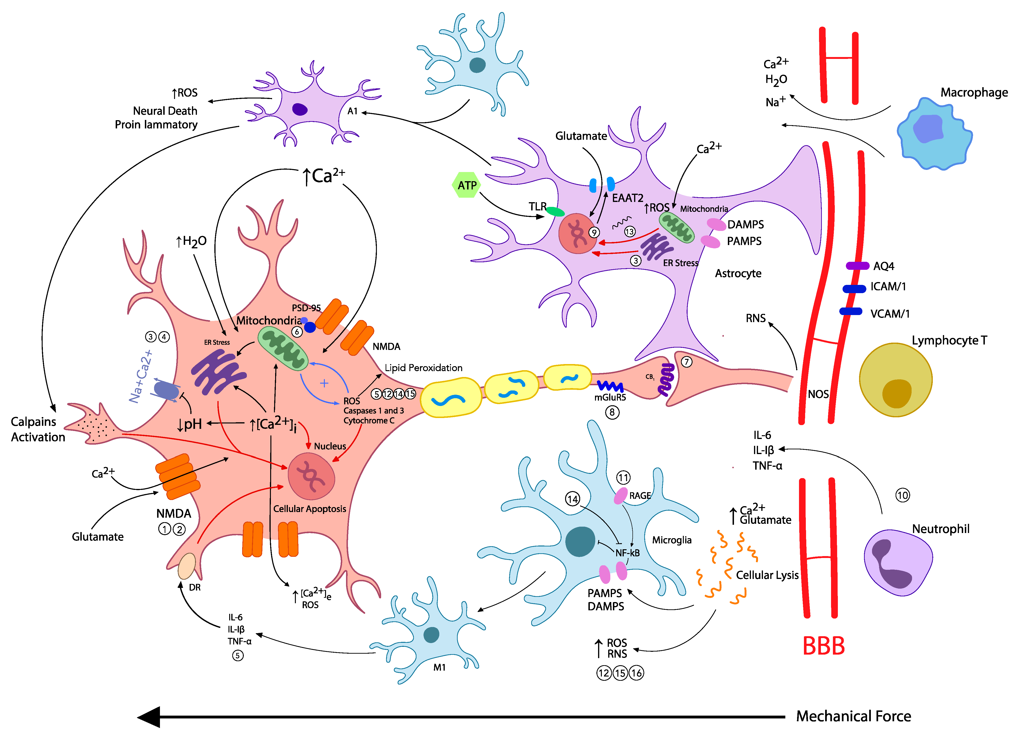 Pharmaceutics 14 00152 g001