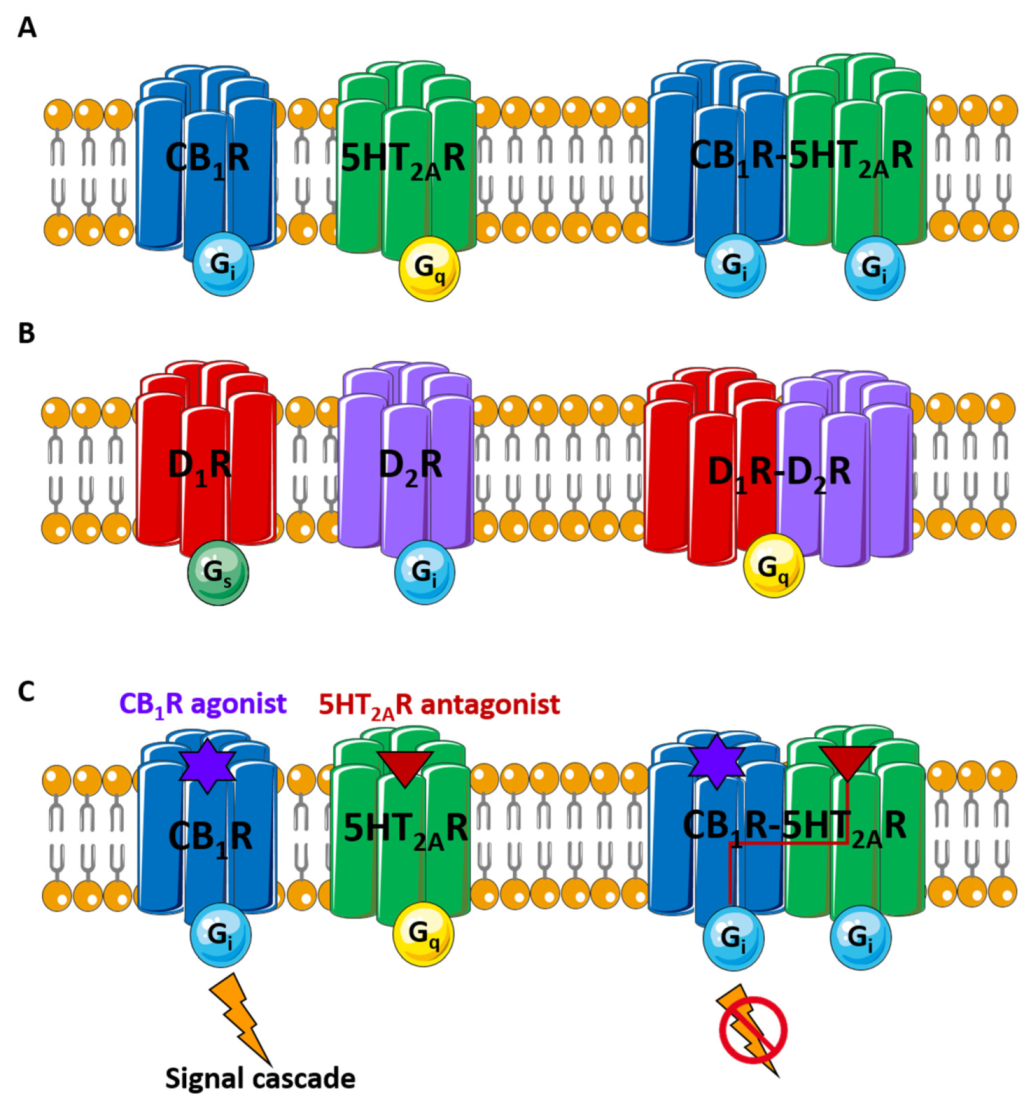 Pharmaceutics 14 00161 g001 550
