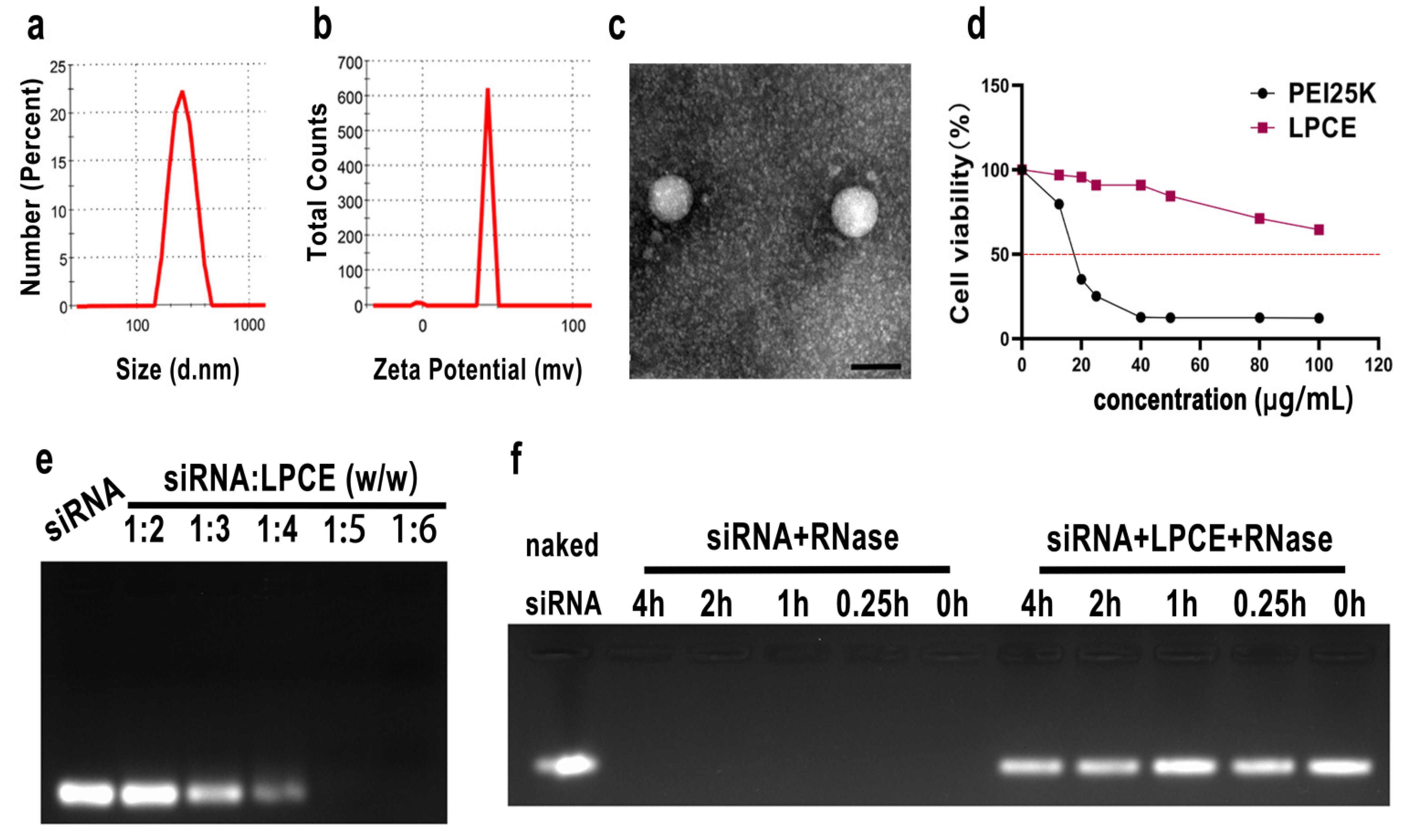 Pharmaceutics 14 00162 g001 550