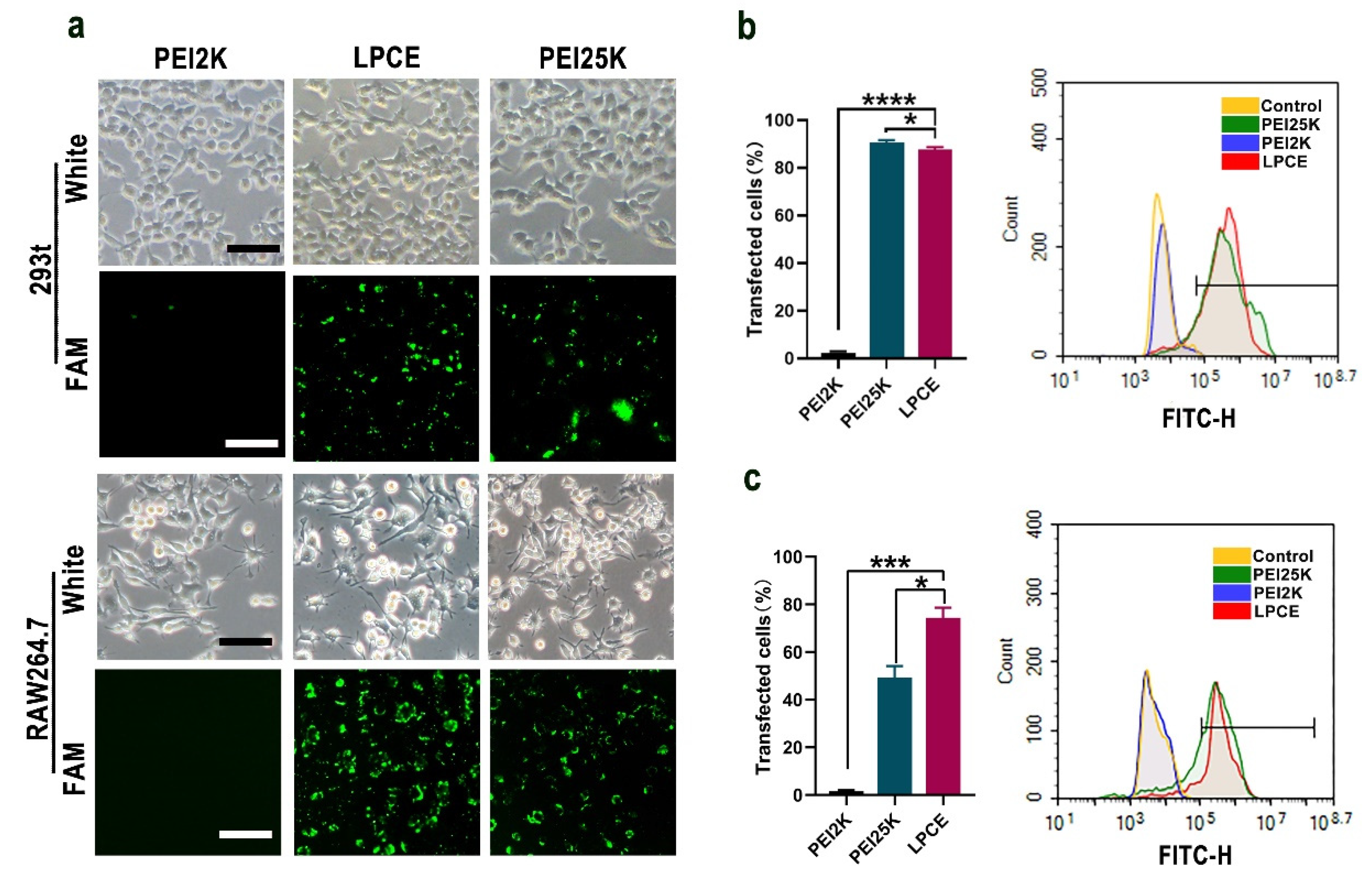 Pharmaceutics 14 00162 g002 550