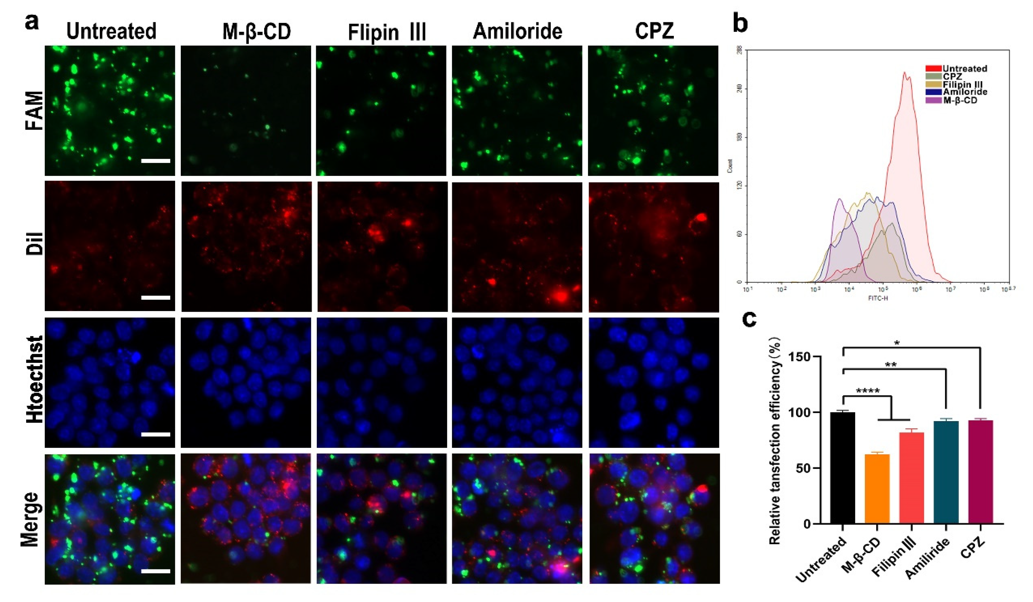 Pharmaceutics 14 00162 g003 550