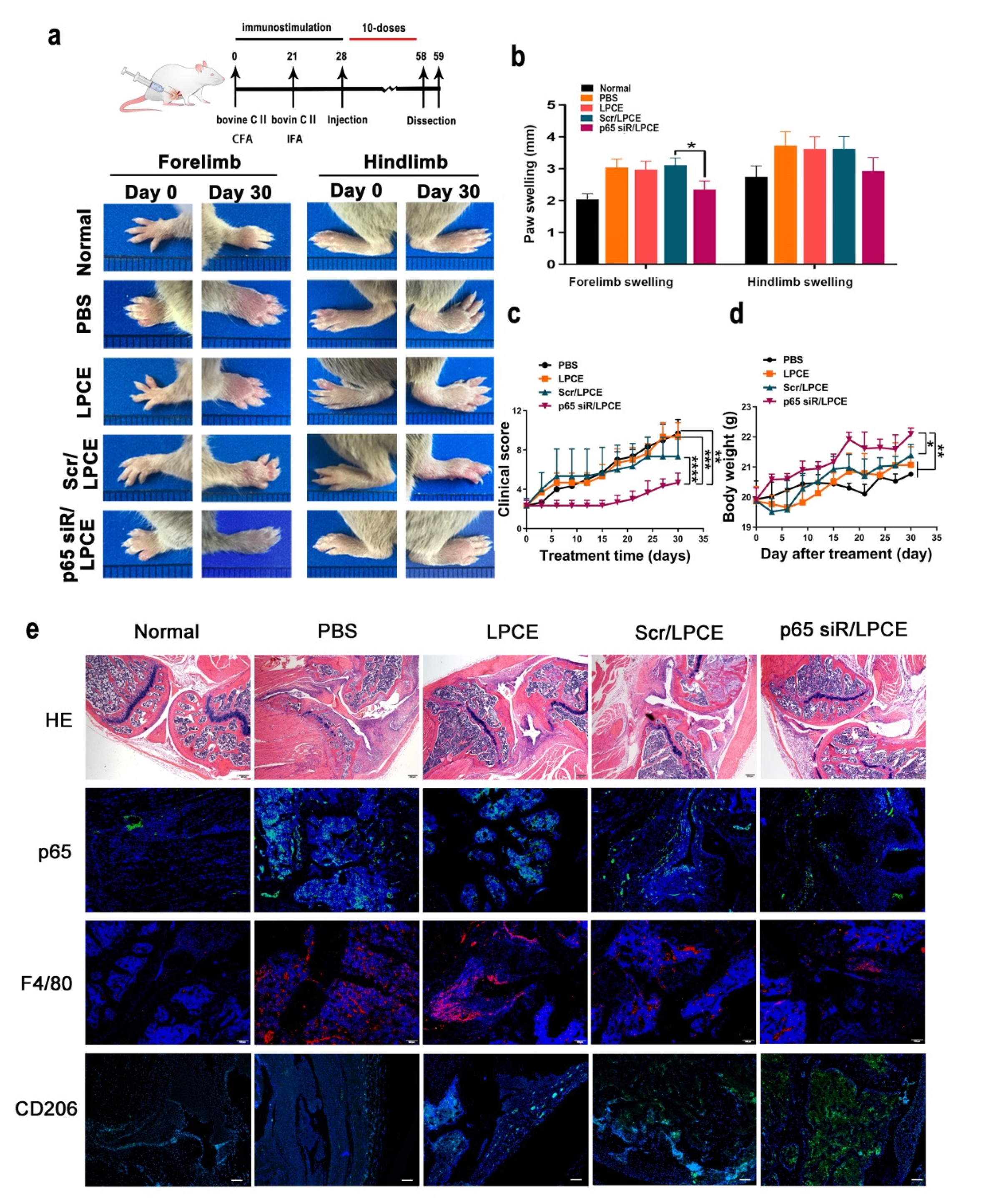 Pharmaceutics 14 00162 g005 550