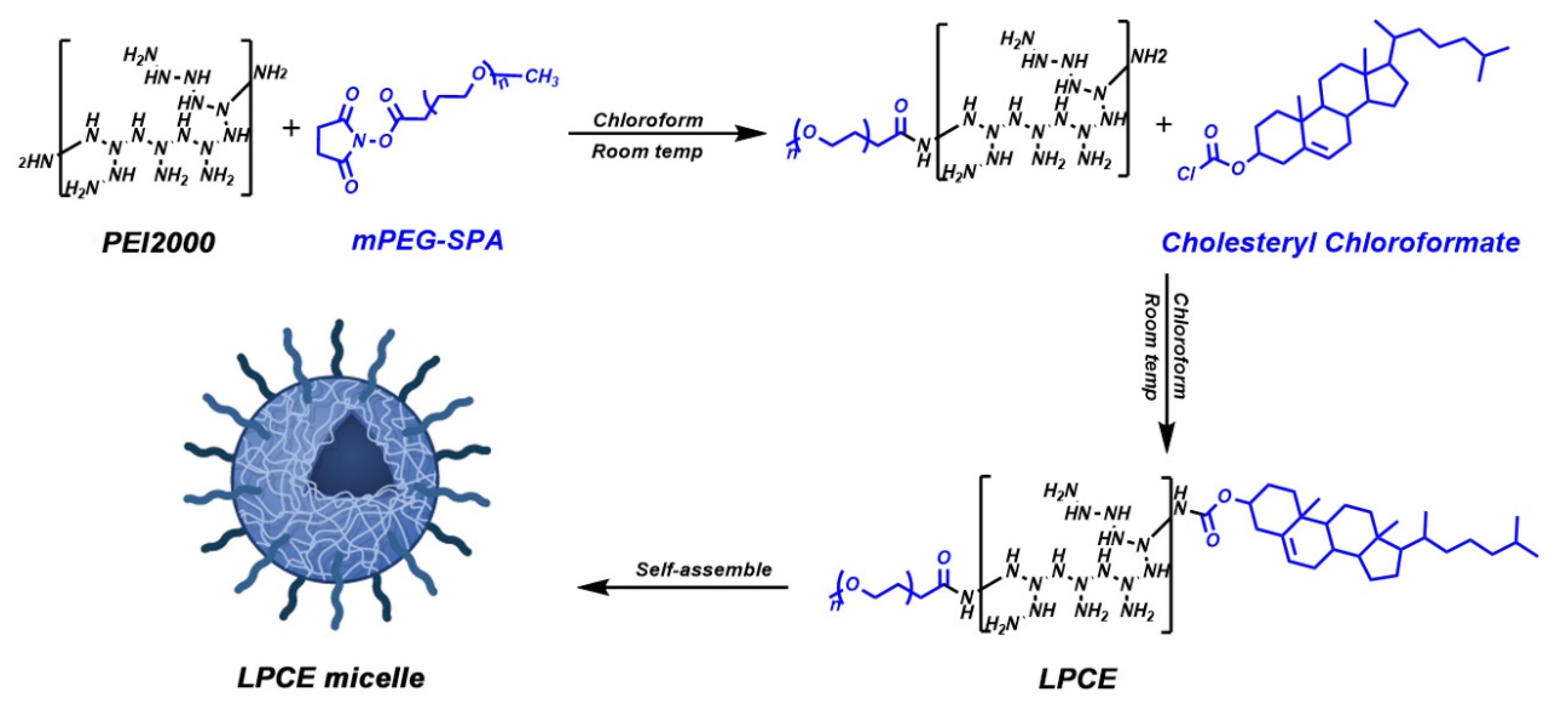 Pharmaceutics 14 00162 sch001 550