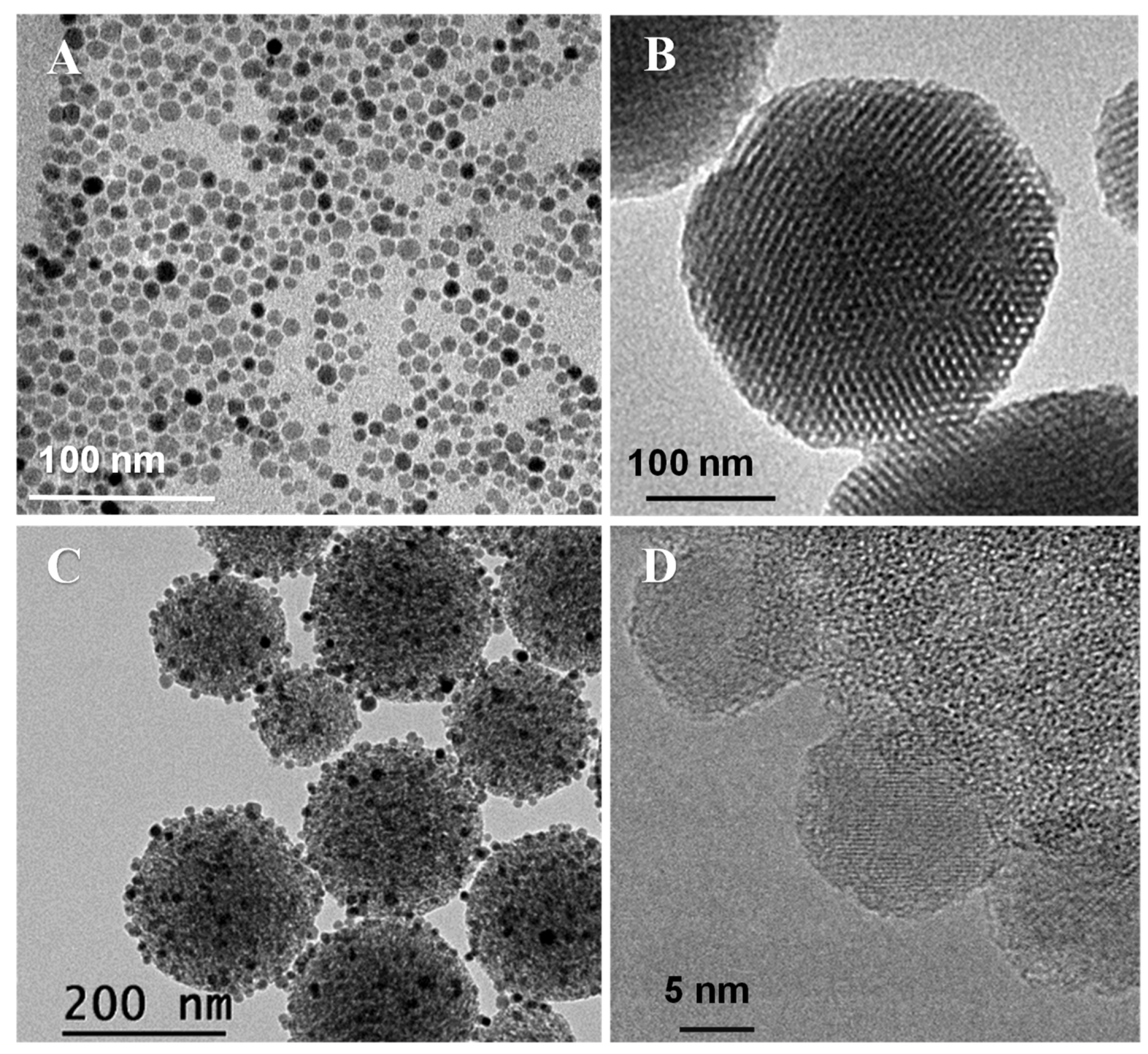 Pharmaceutics 14 00163 g002