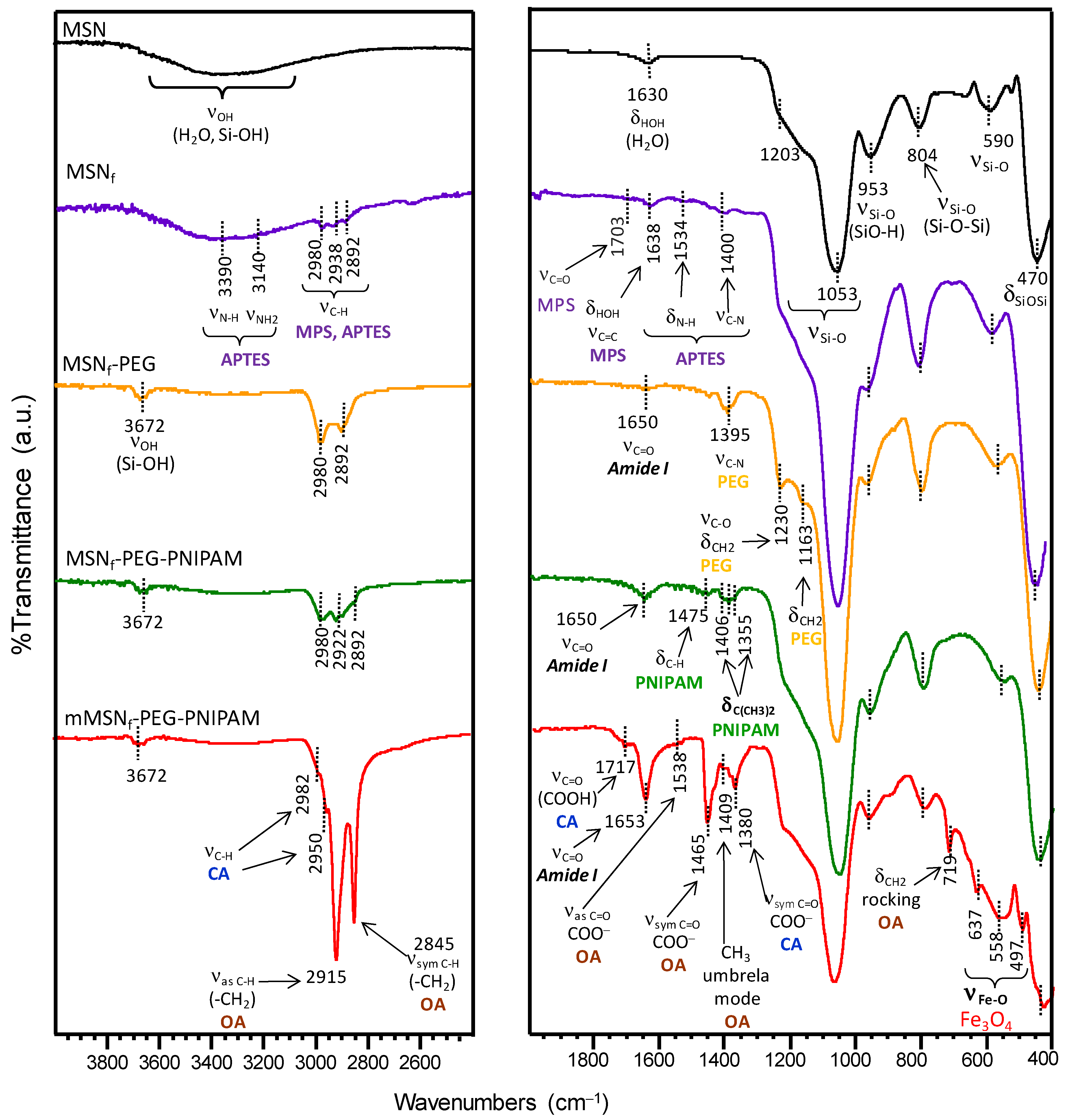 Pharmaceutics 14 00163 g003