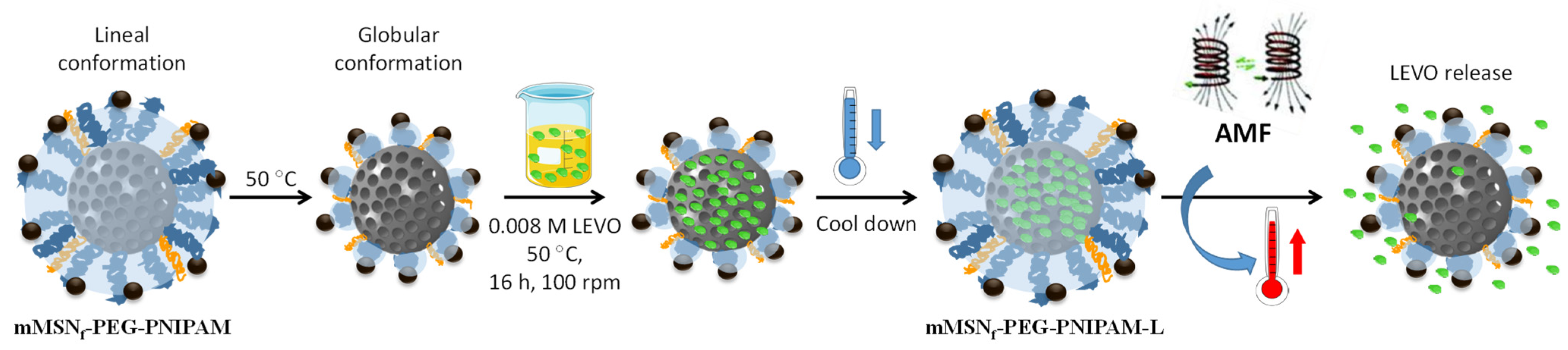 Pharmaceutics 14 00163 g004