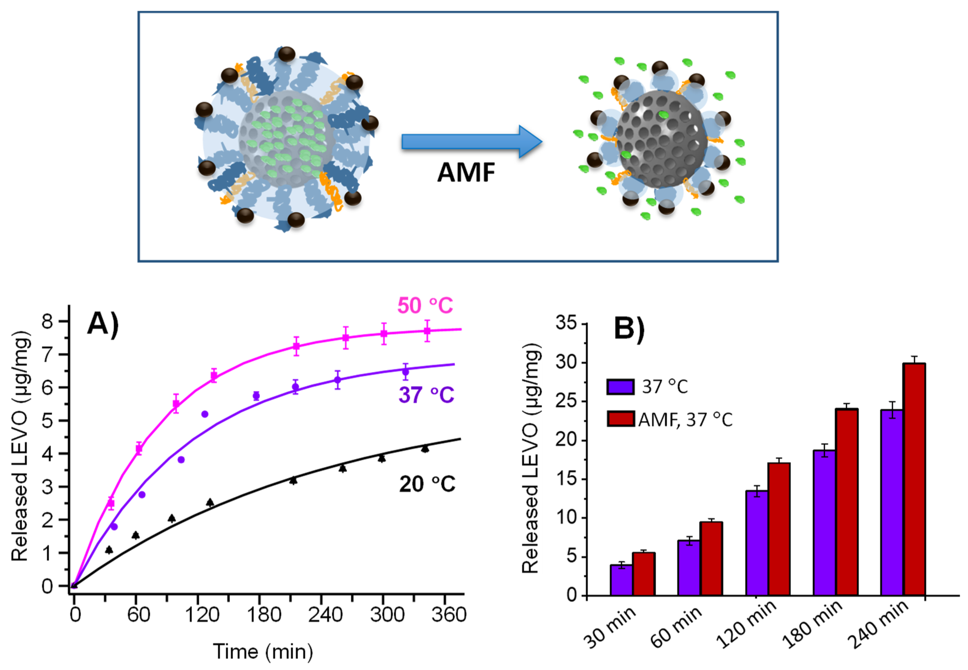 Pharmaceutics 14 00163 g005