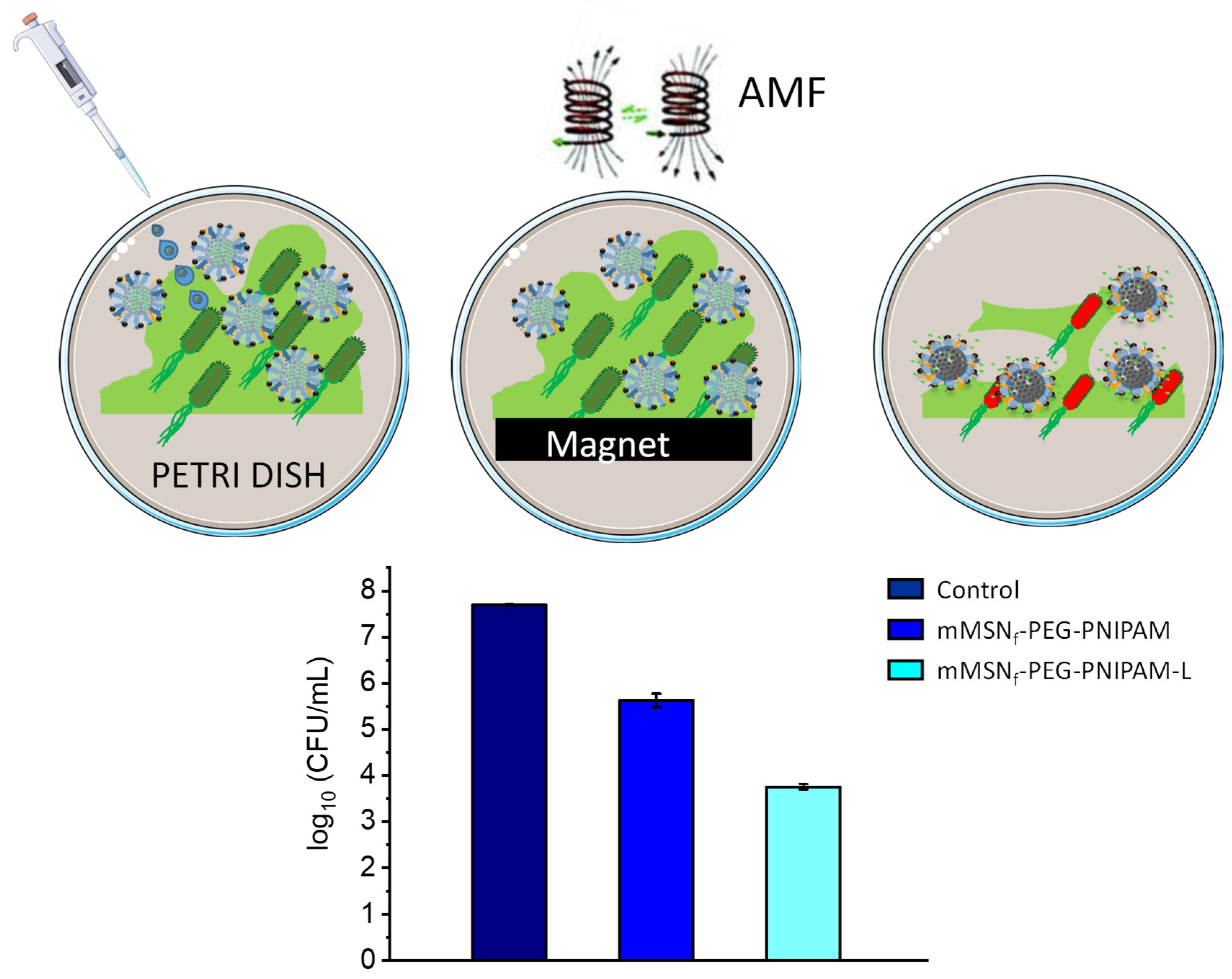 Pharmaceutics 14 00163 g006