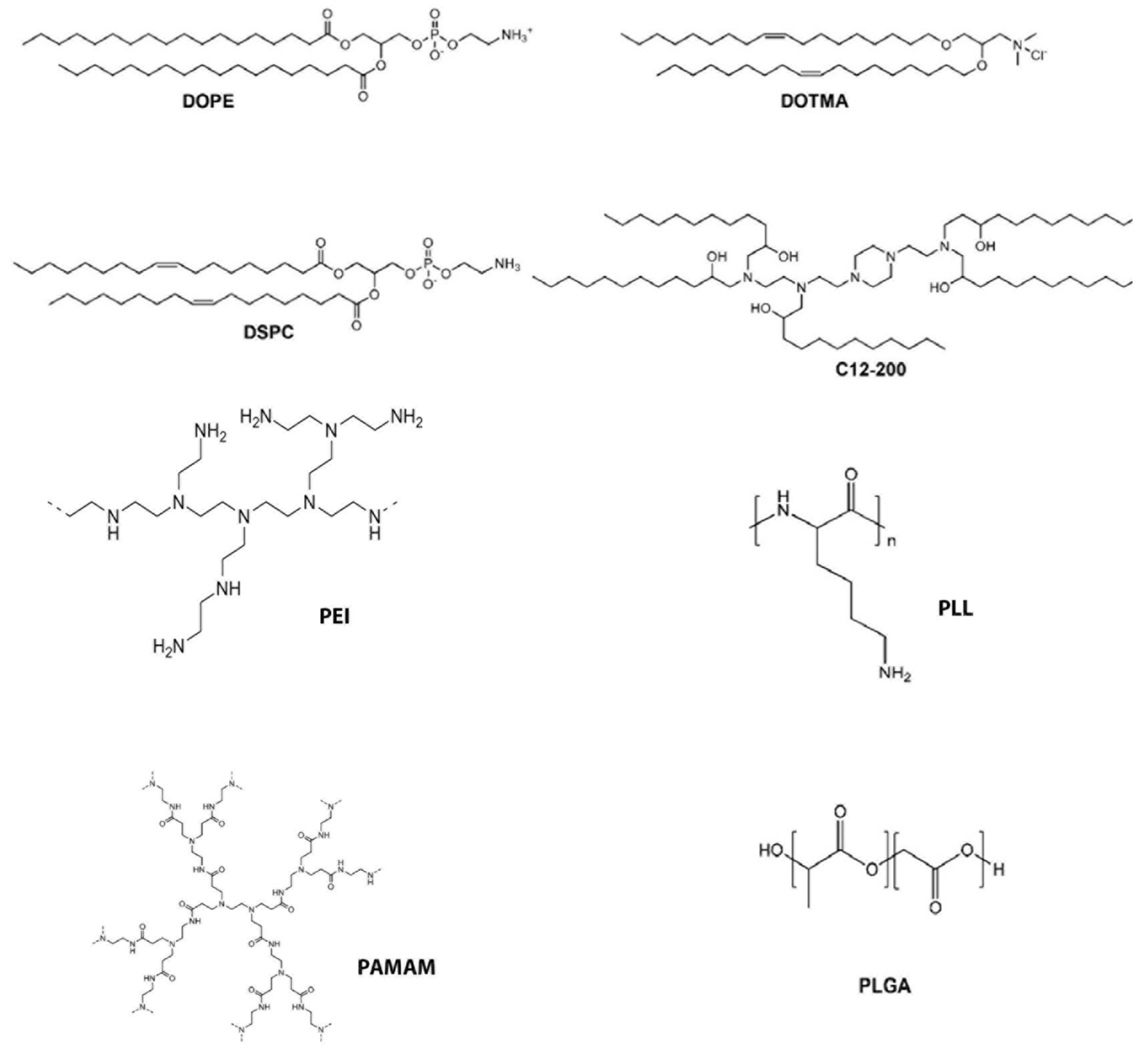 Pharmaceutics 14 00165 g002