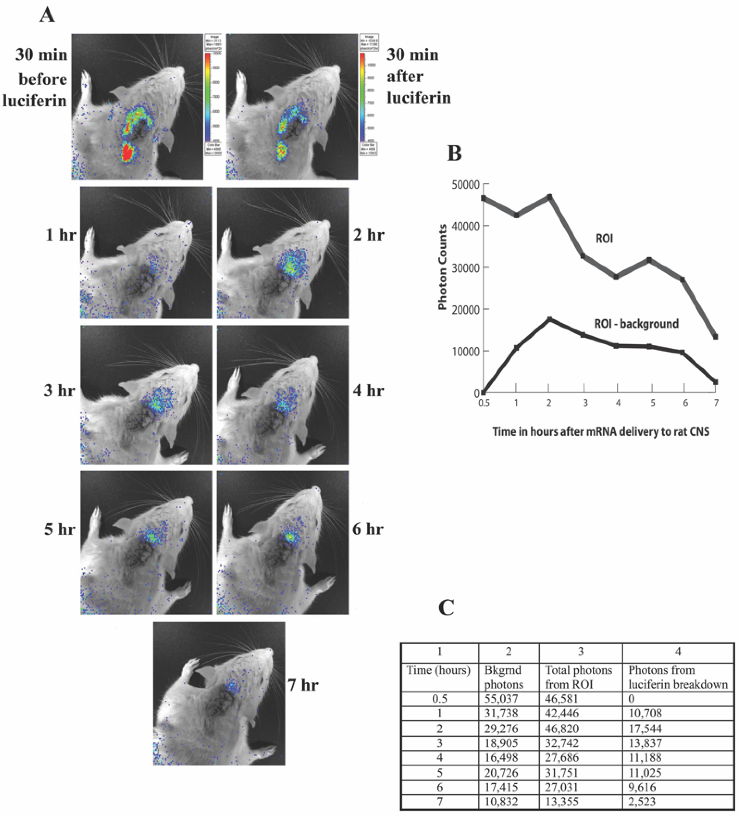 Pharmaceutics 14 00165 g005