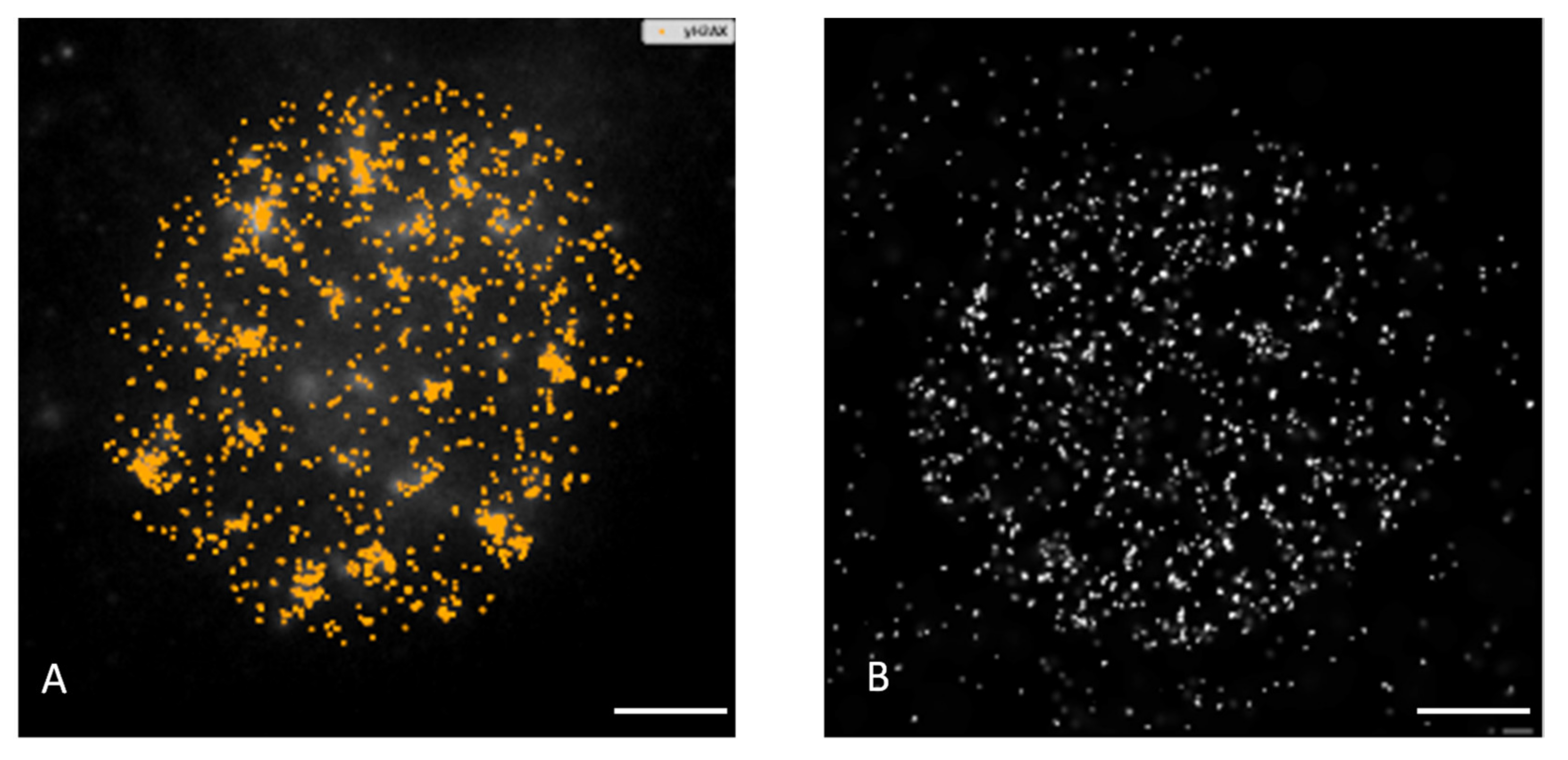 Pharmaceutics 14 00166 g009 Pharmaceutics 14 00166 g009