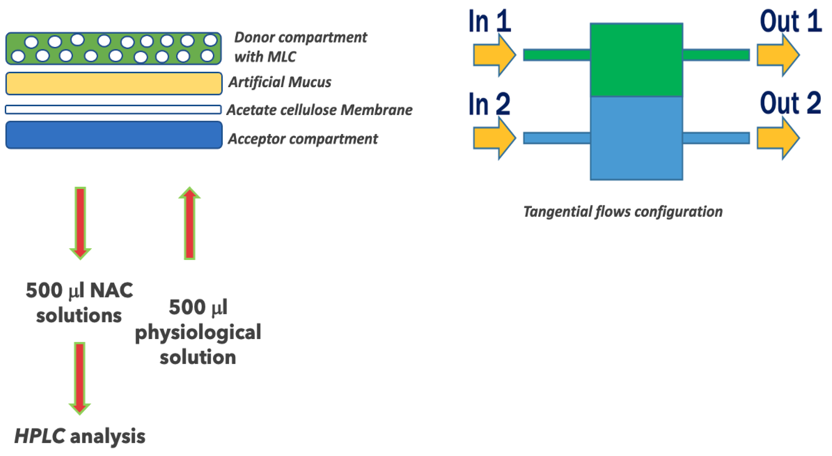Pharmaceutics 14 00170 g002 550
