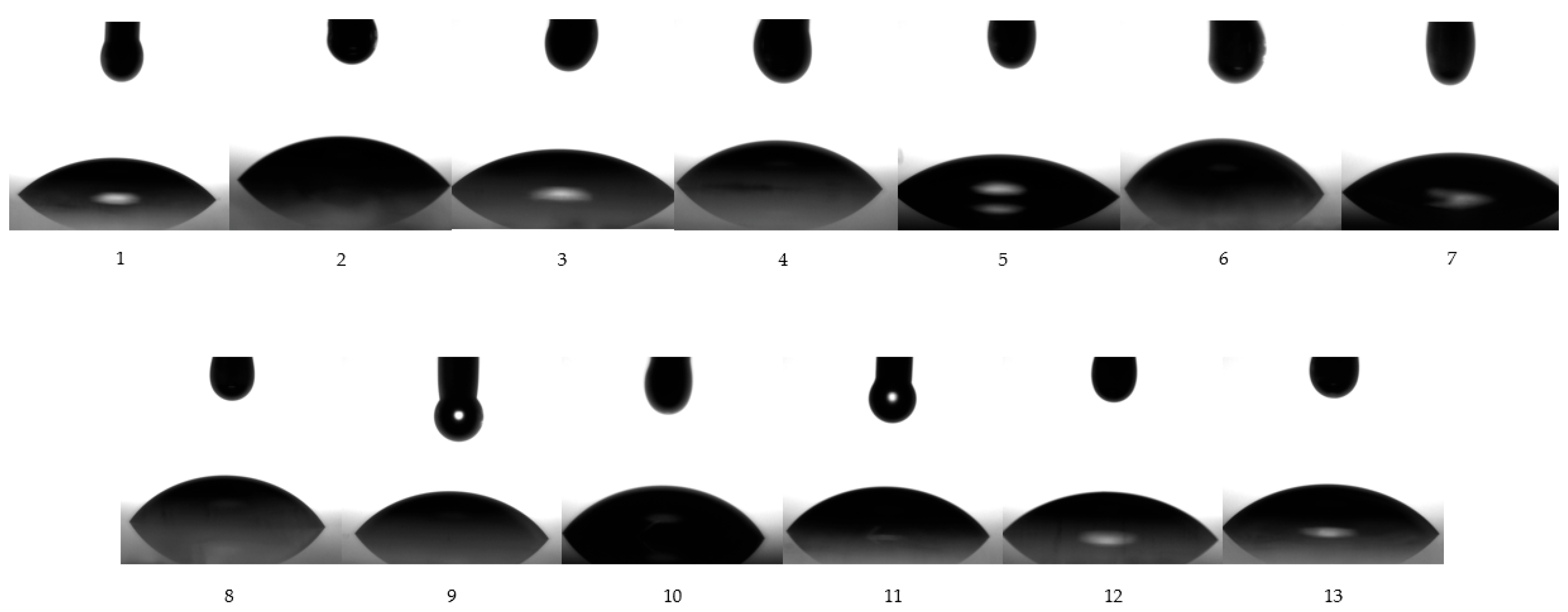Pharmaceutics 14 00174 g010