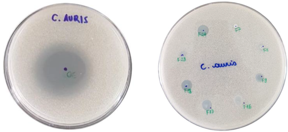 Pharmaceutics 14 00180 g002 550