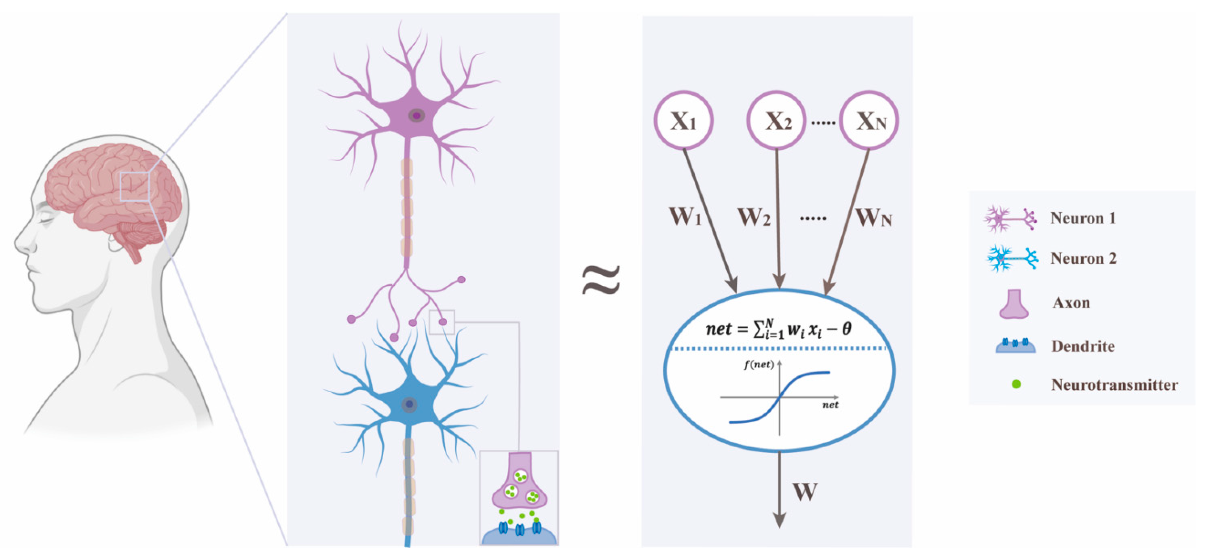 Pharmaceutics 14 00183 g001 Pharmaceutics 14 00183 g001
