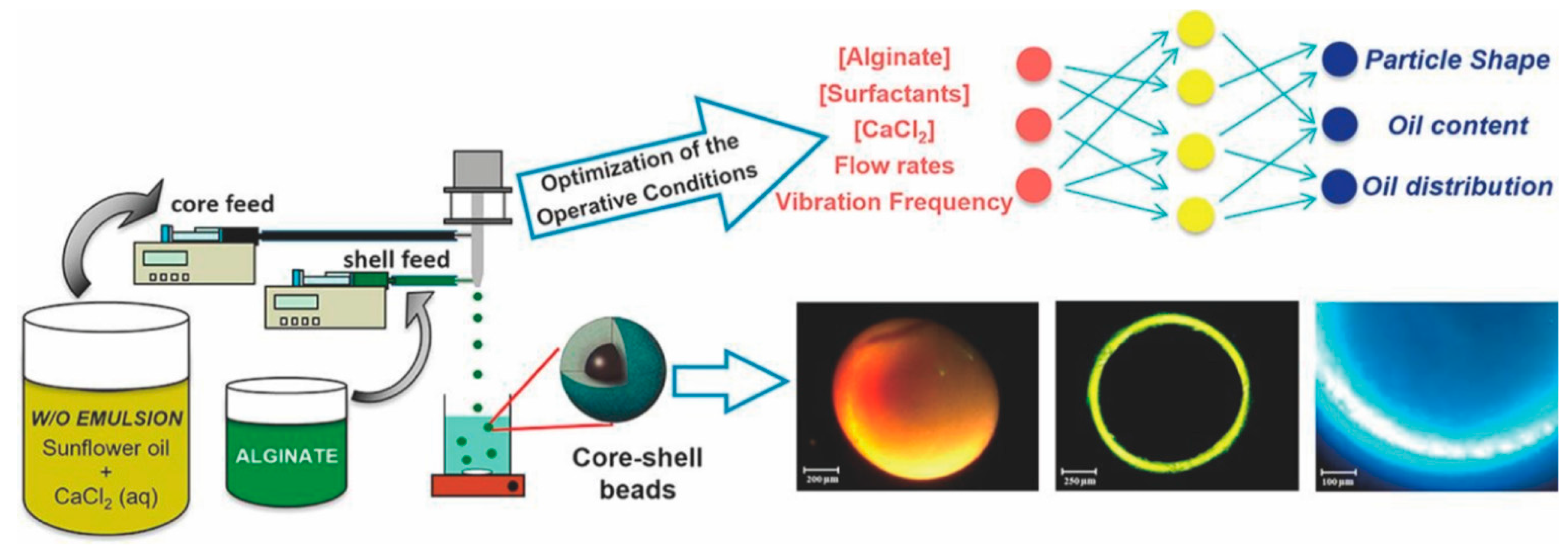 Pharmaceutics 14 00183 g007 Pharmaceutics 14 00183 g007