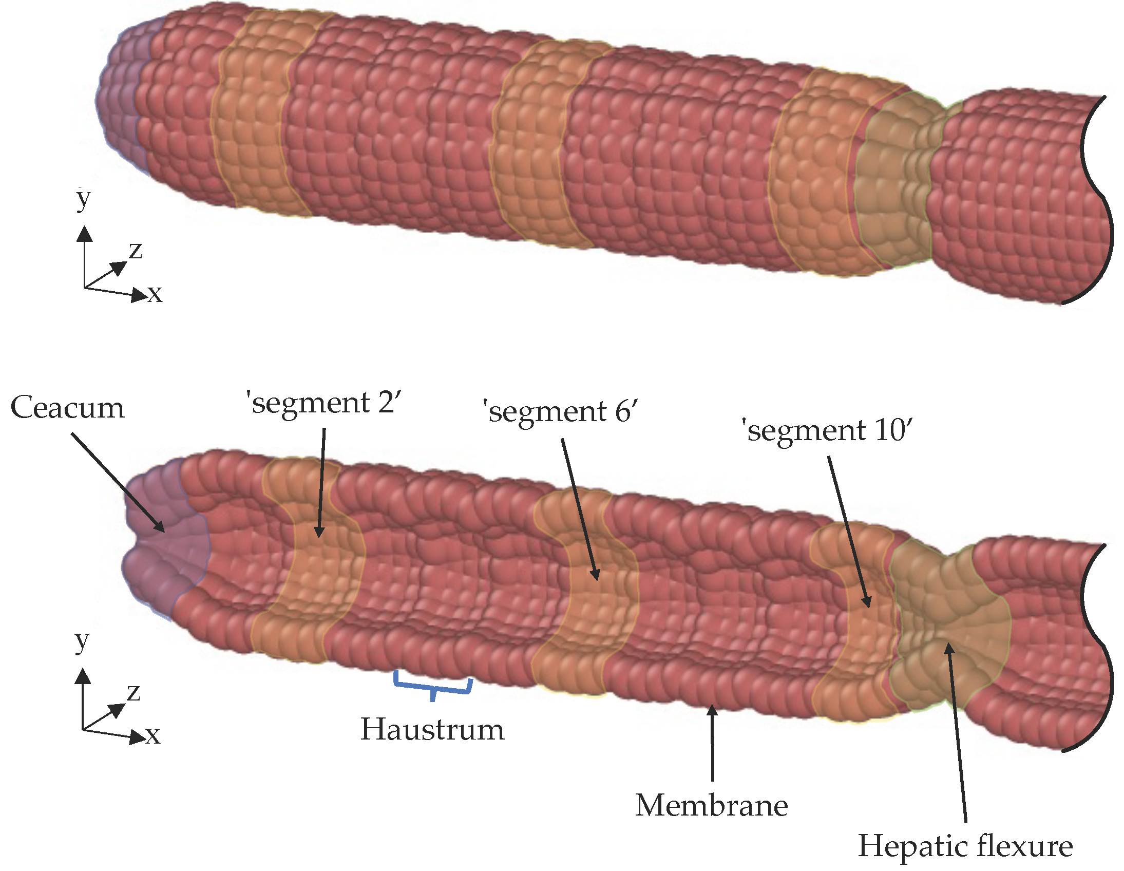 Pharmaceutics 14 00184 g002 550