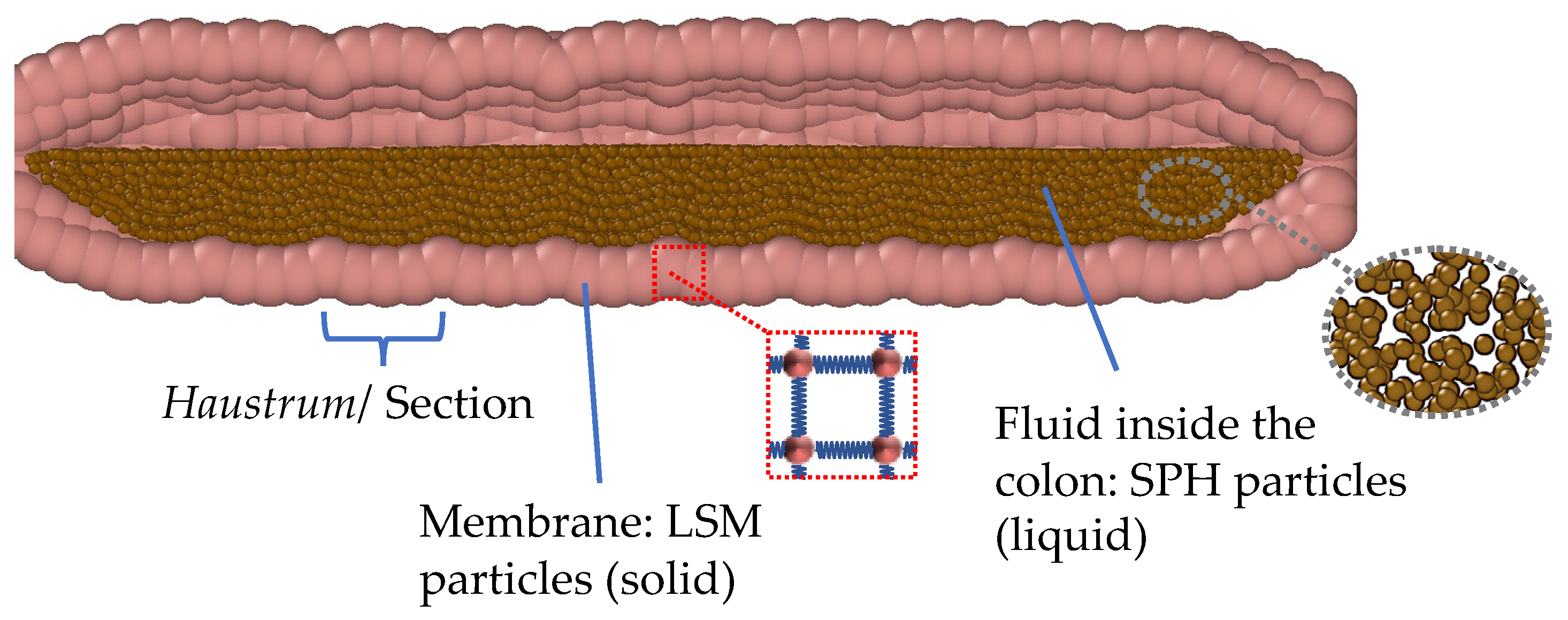 Pharmaceutics 14 00184 g003 550