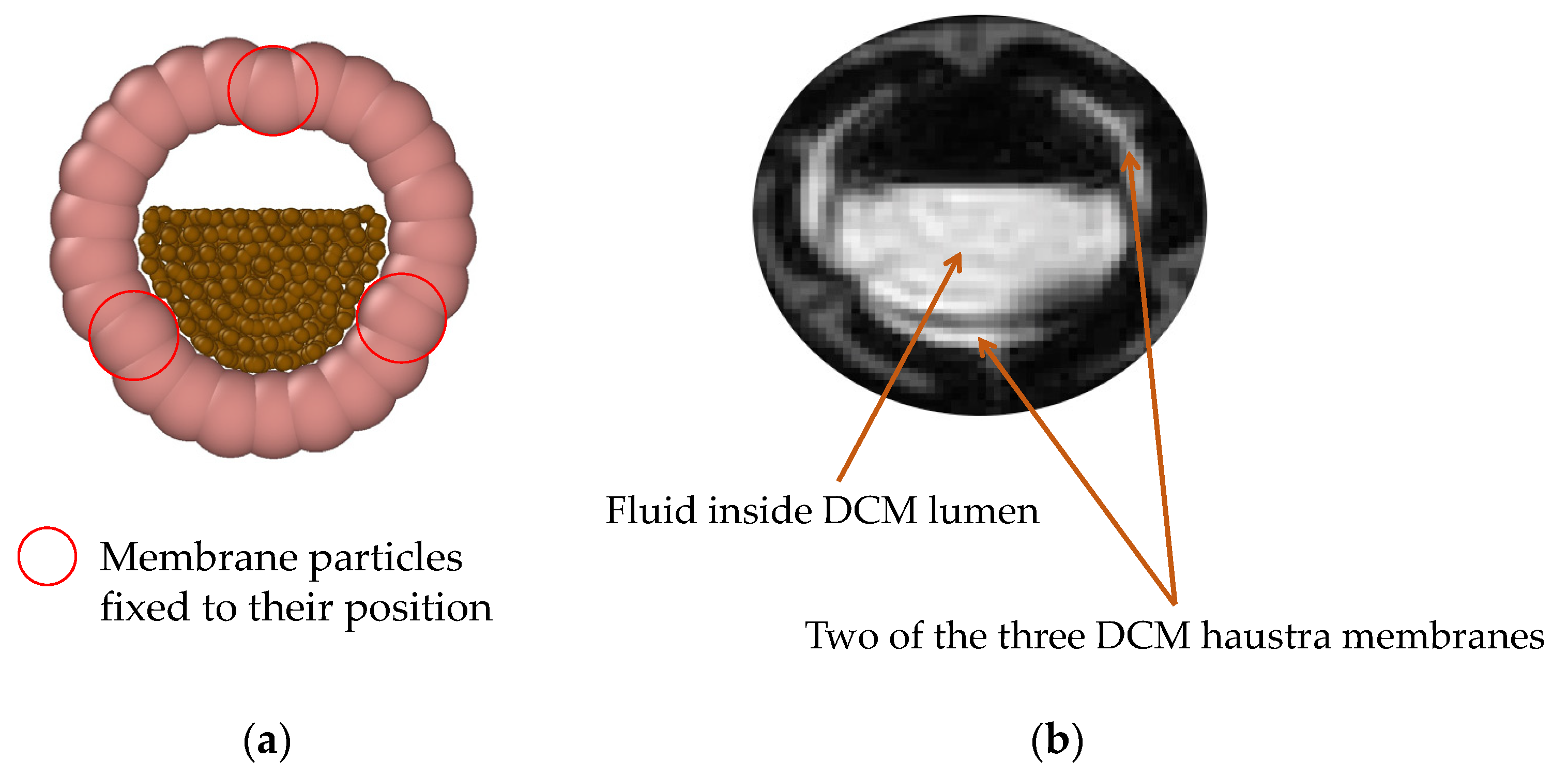 Pharmaceutics 14 00184 g005 550