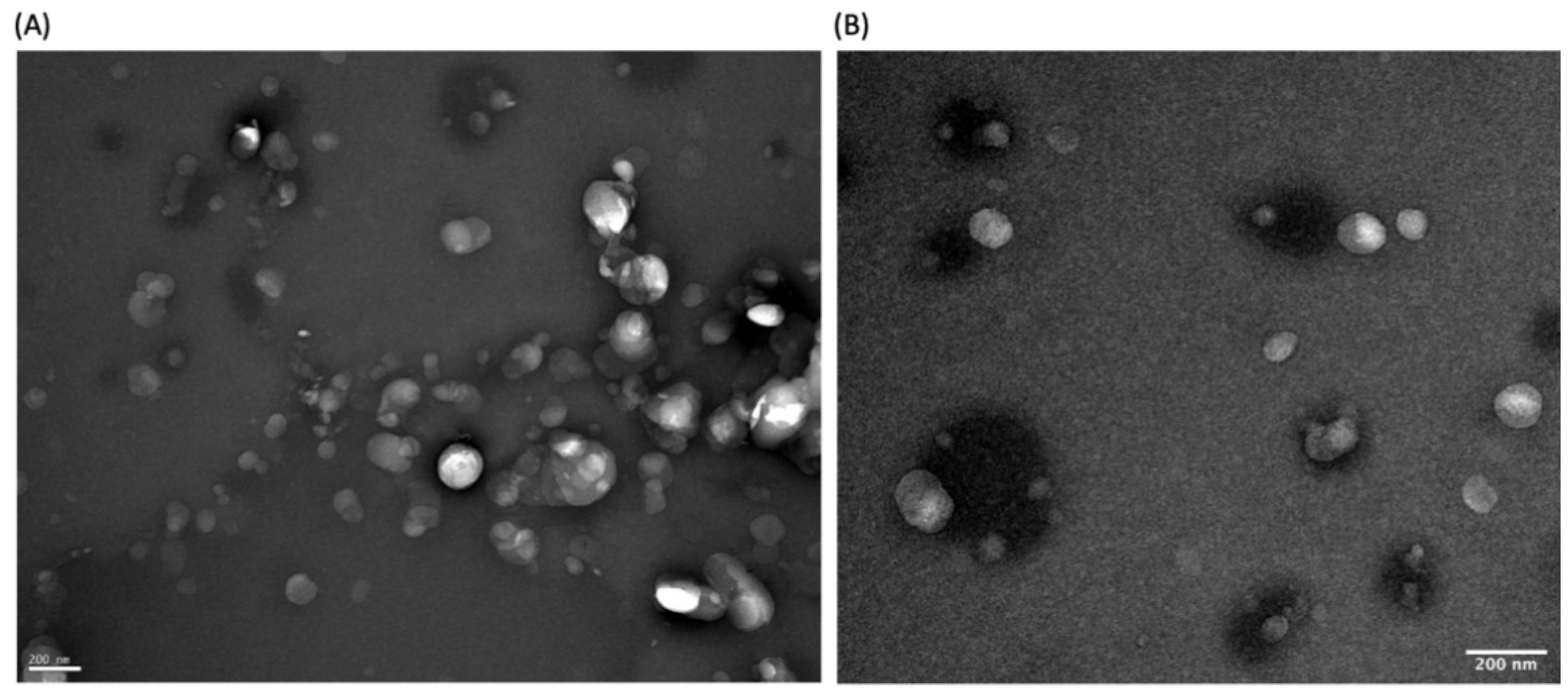 Pharmaceutics 14 00185 g003