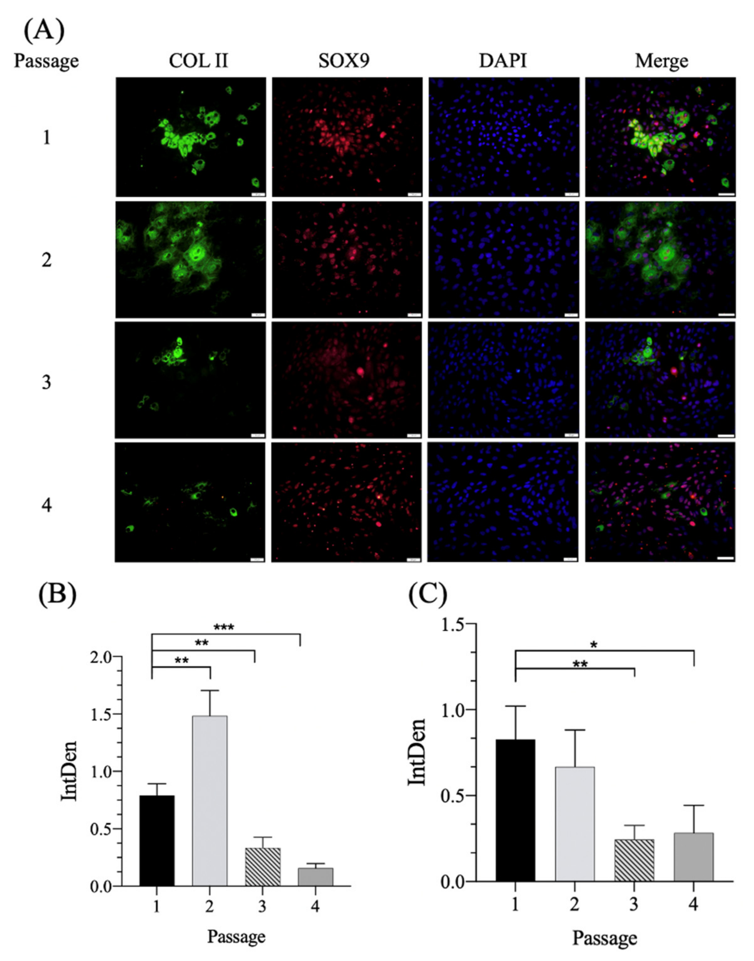 Pharmaceutics 14 00186 g002
