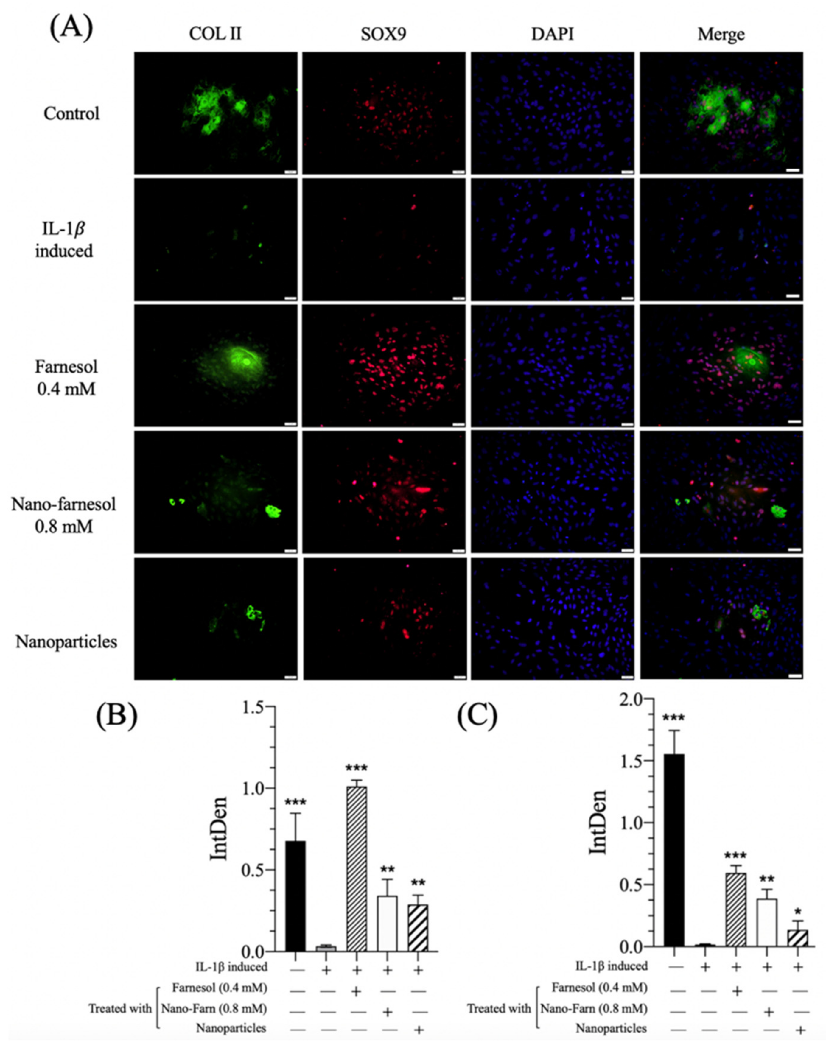 Pharmaceutics 14 00186 g005