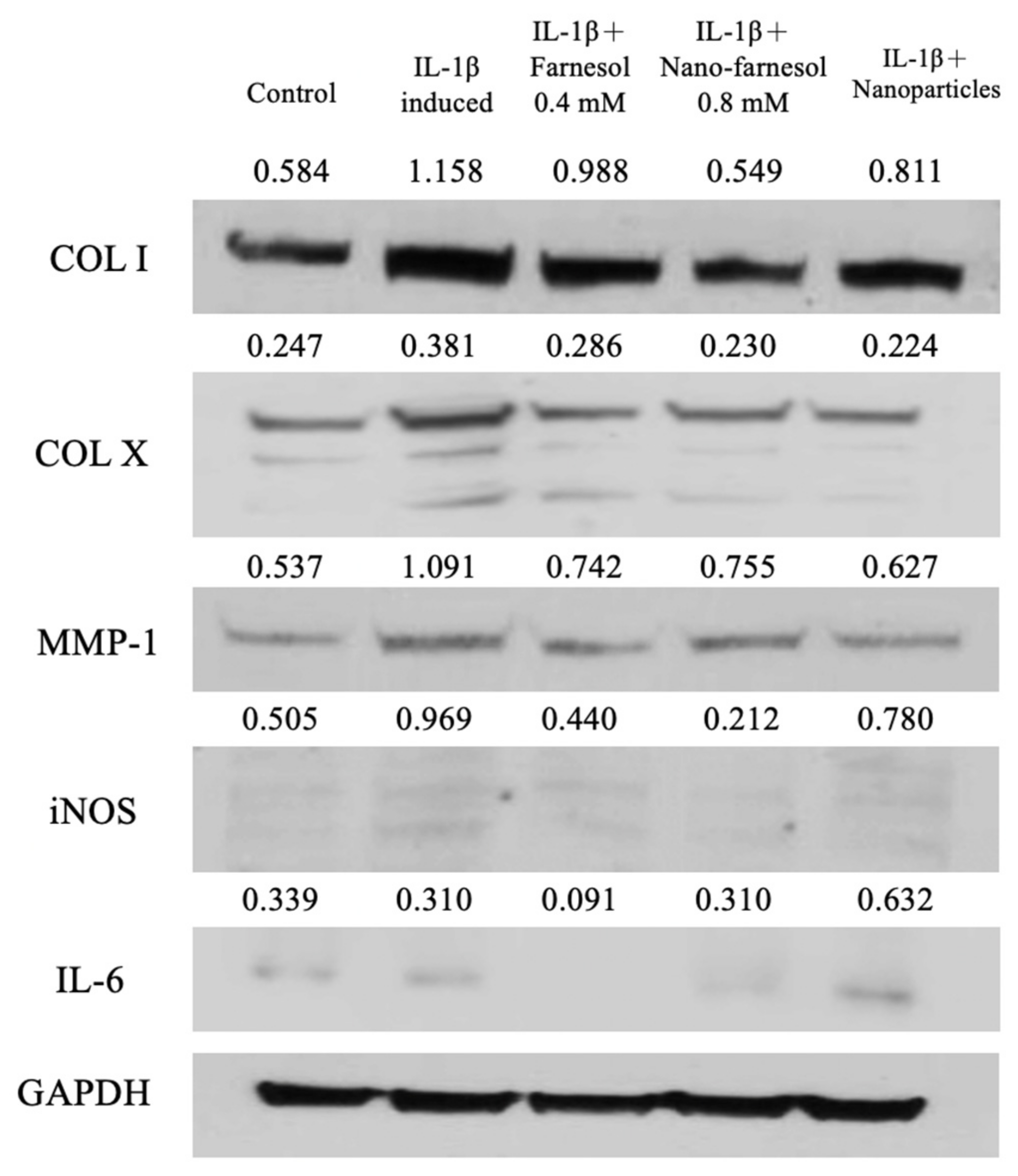 Pharmaceutics 14 00186 g007