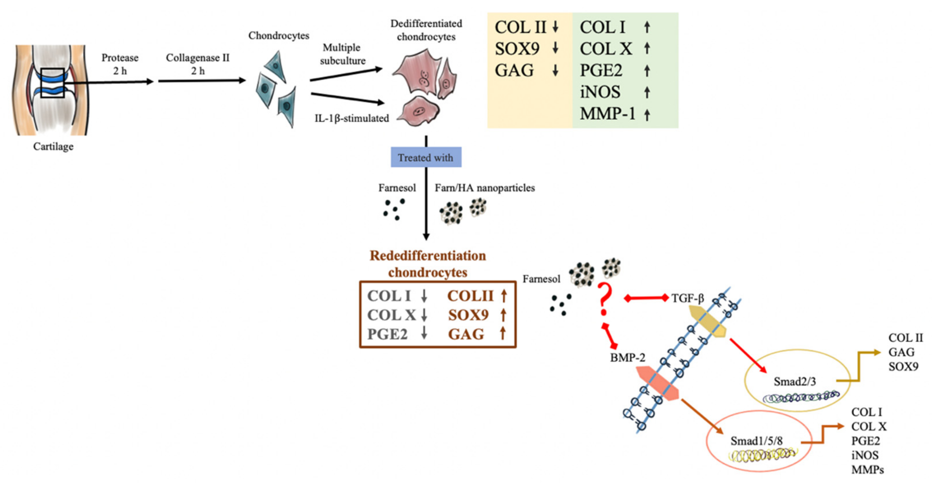 Pharmaceutics 14 00186 g009