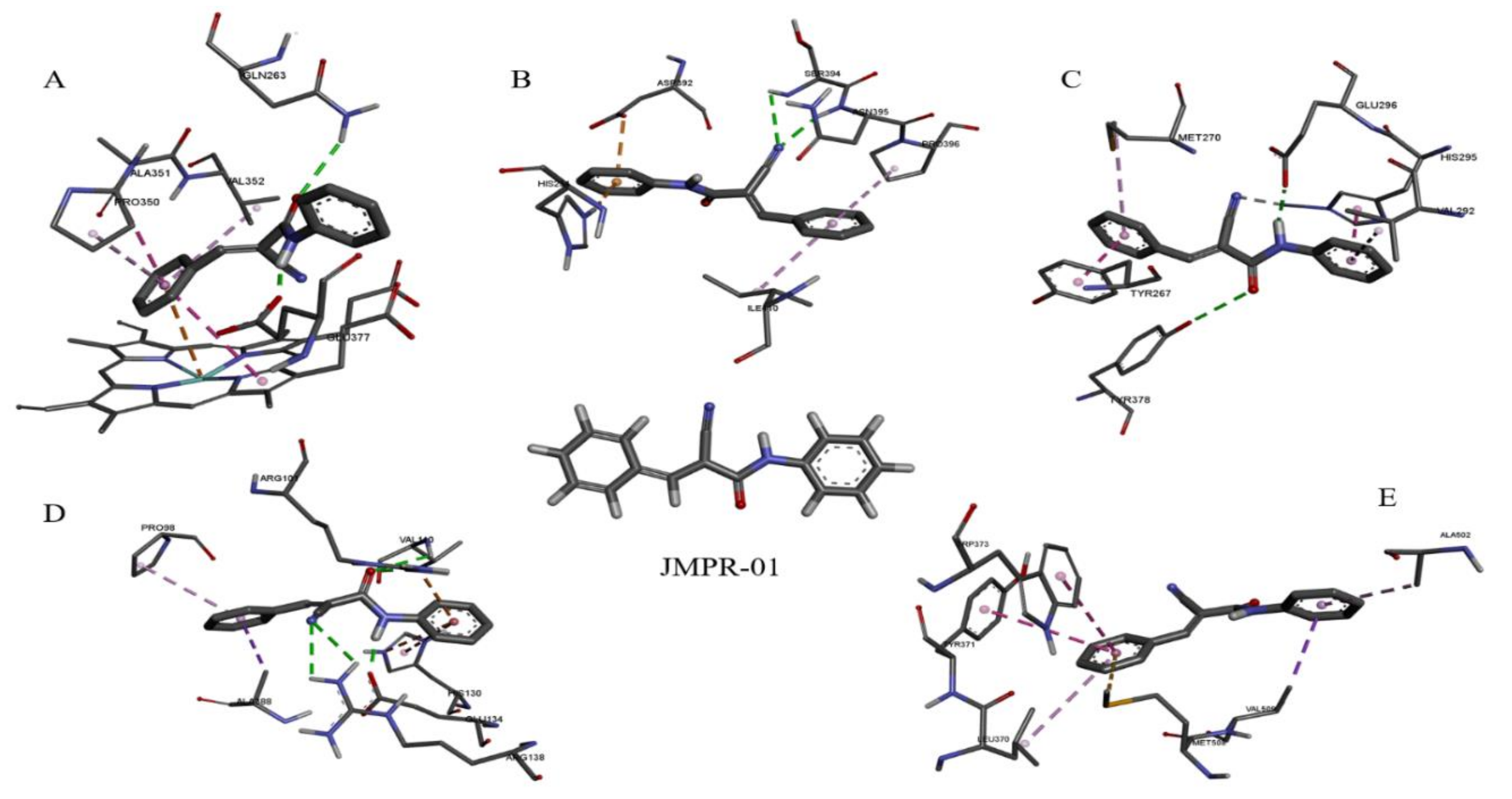Pharmaceutics 14 00188 g006