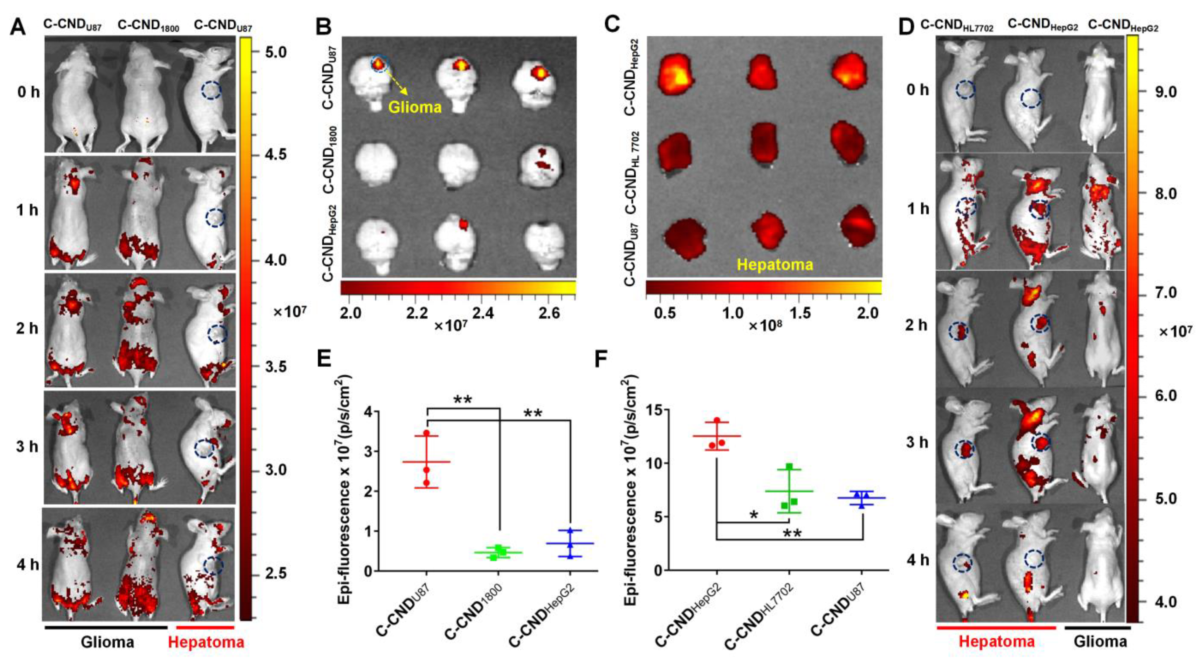 Pharmaceutics 14 00193 g004 550